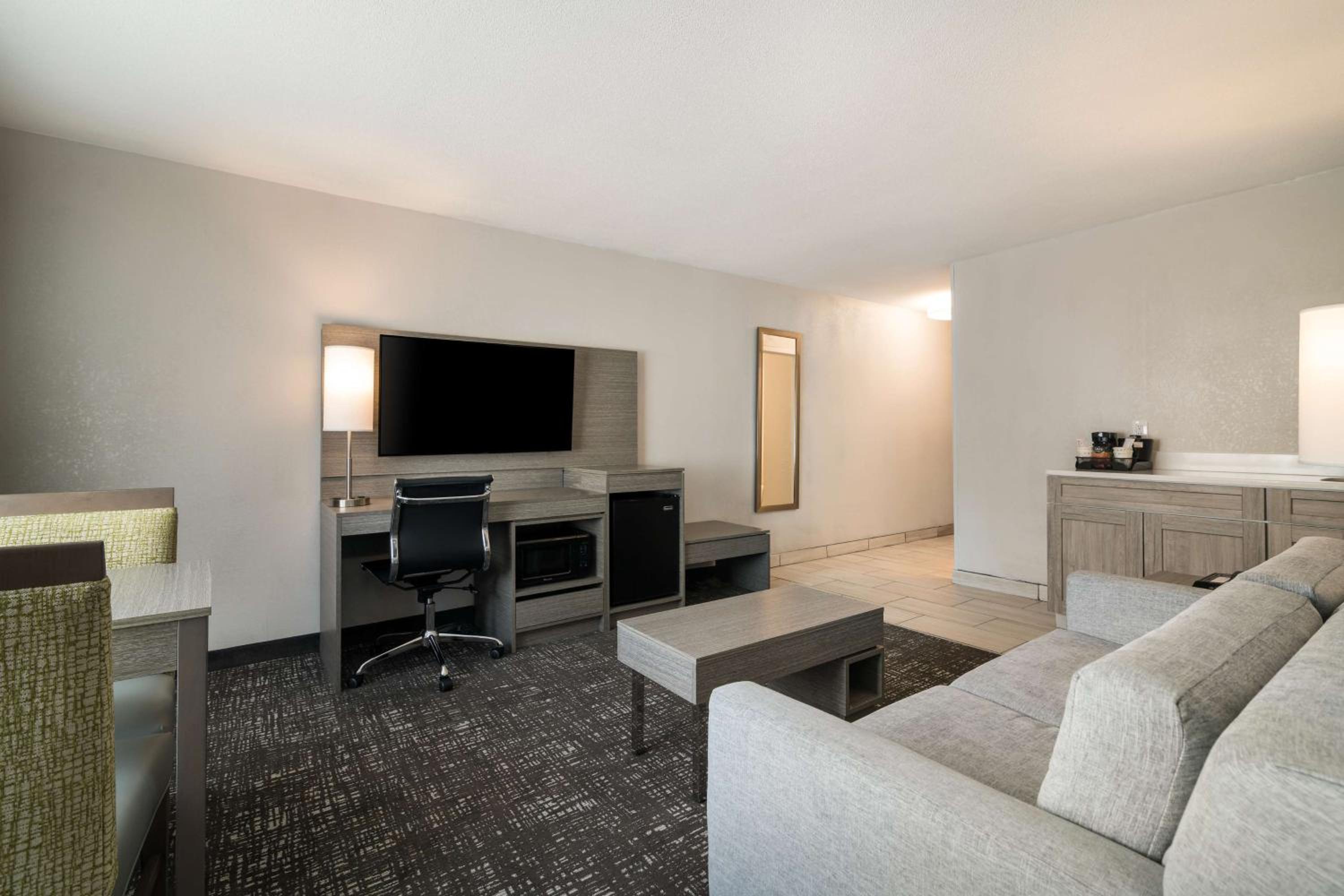 King Suite with Sofa Bed - Photo 4