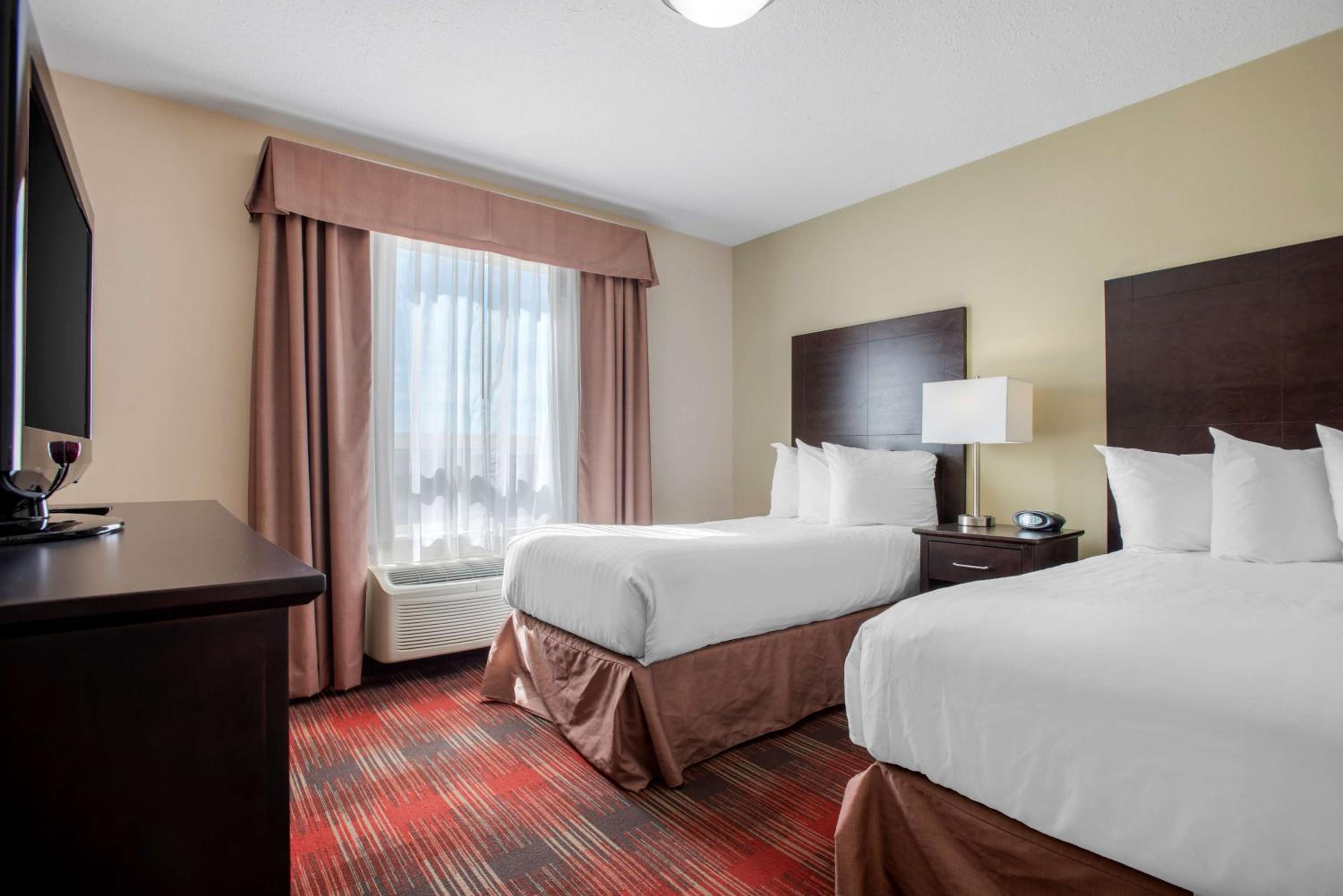 Two-Bedroom Suite with One King Beds, Two Single Beds and Sofa Bed - Photo 3