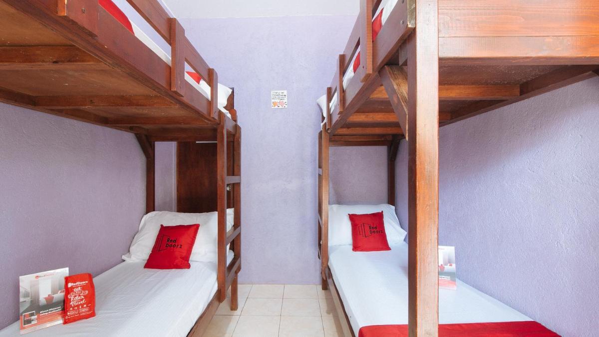 4-Bed Mixed Dormitory Room photo 1