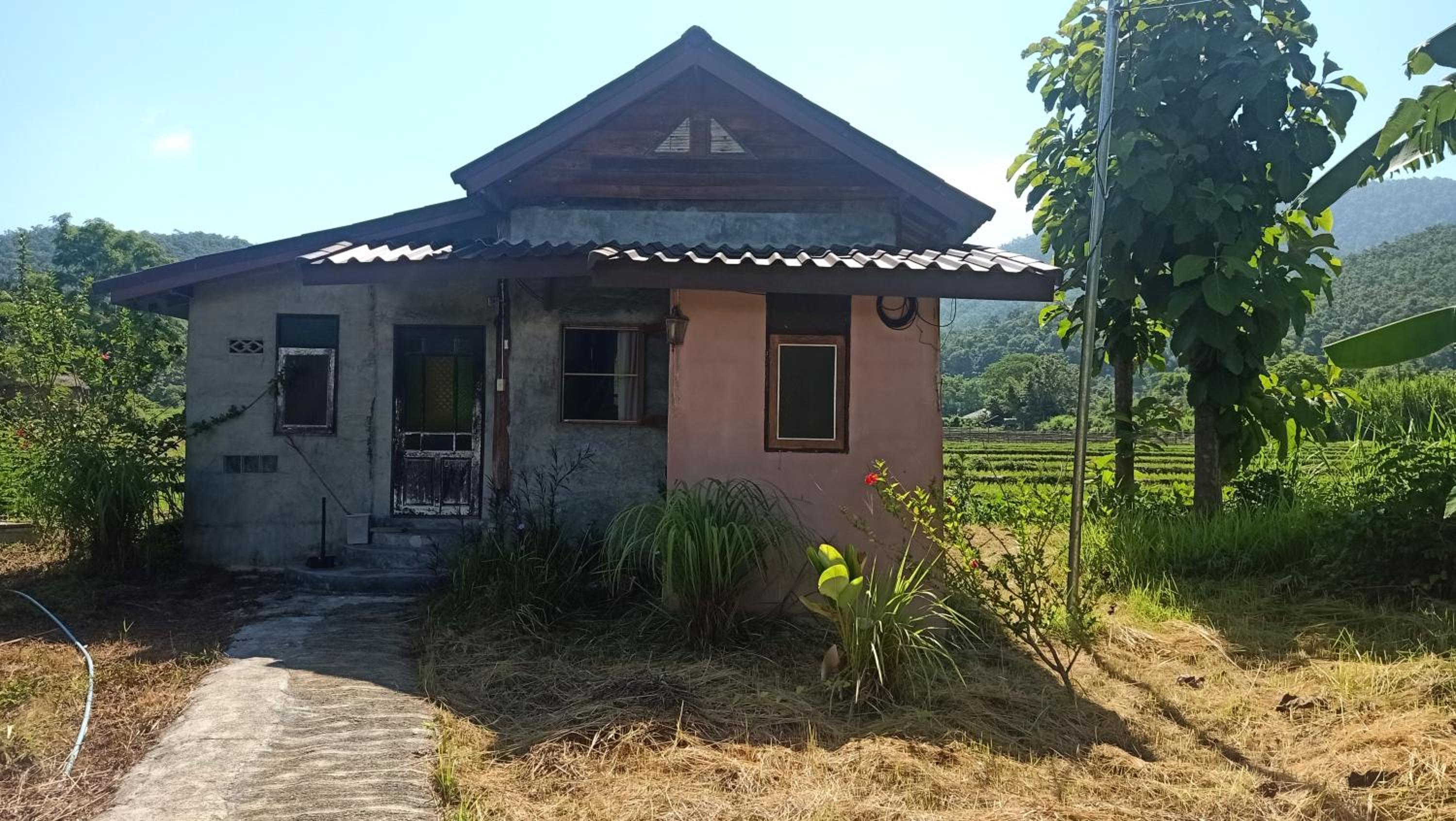 Superior Villa photo 3