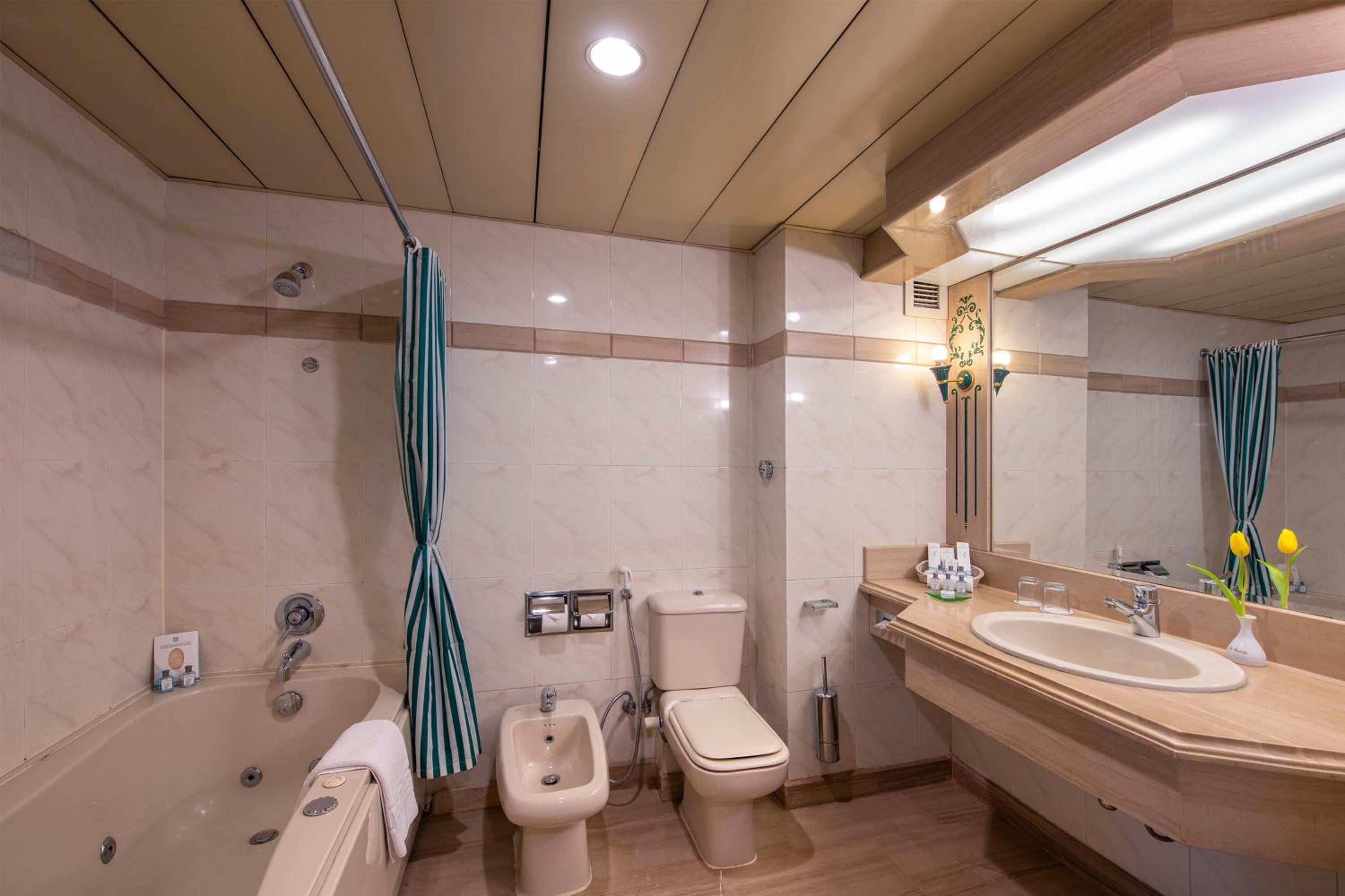 Junior Suite City / Side Nile View