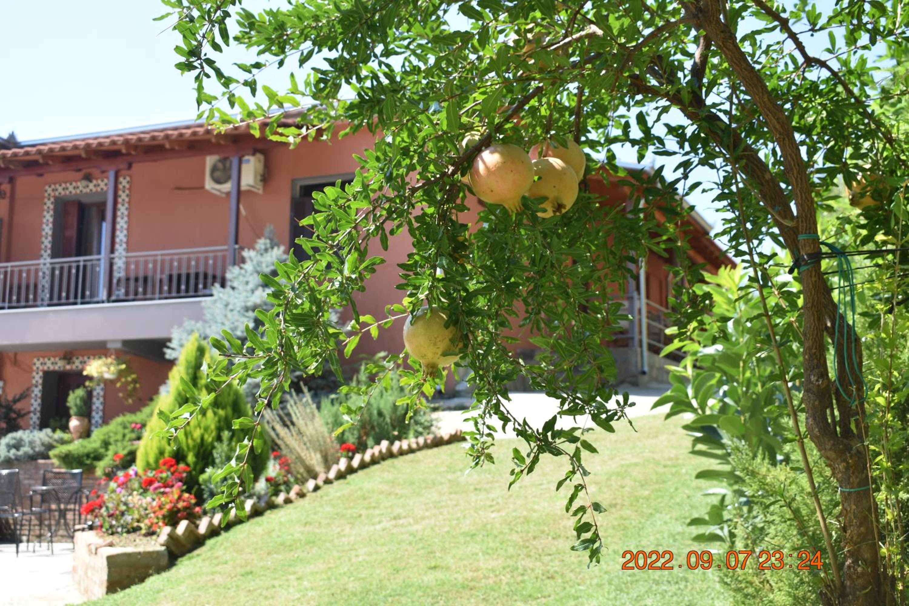 Double Room with Balcony - Photo 19
