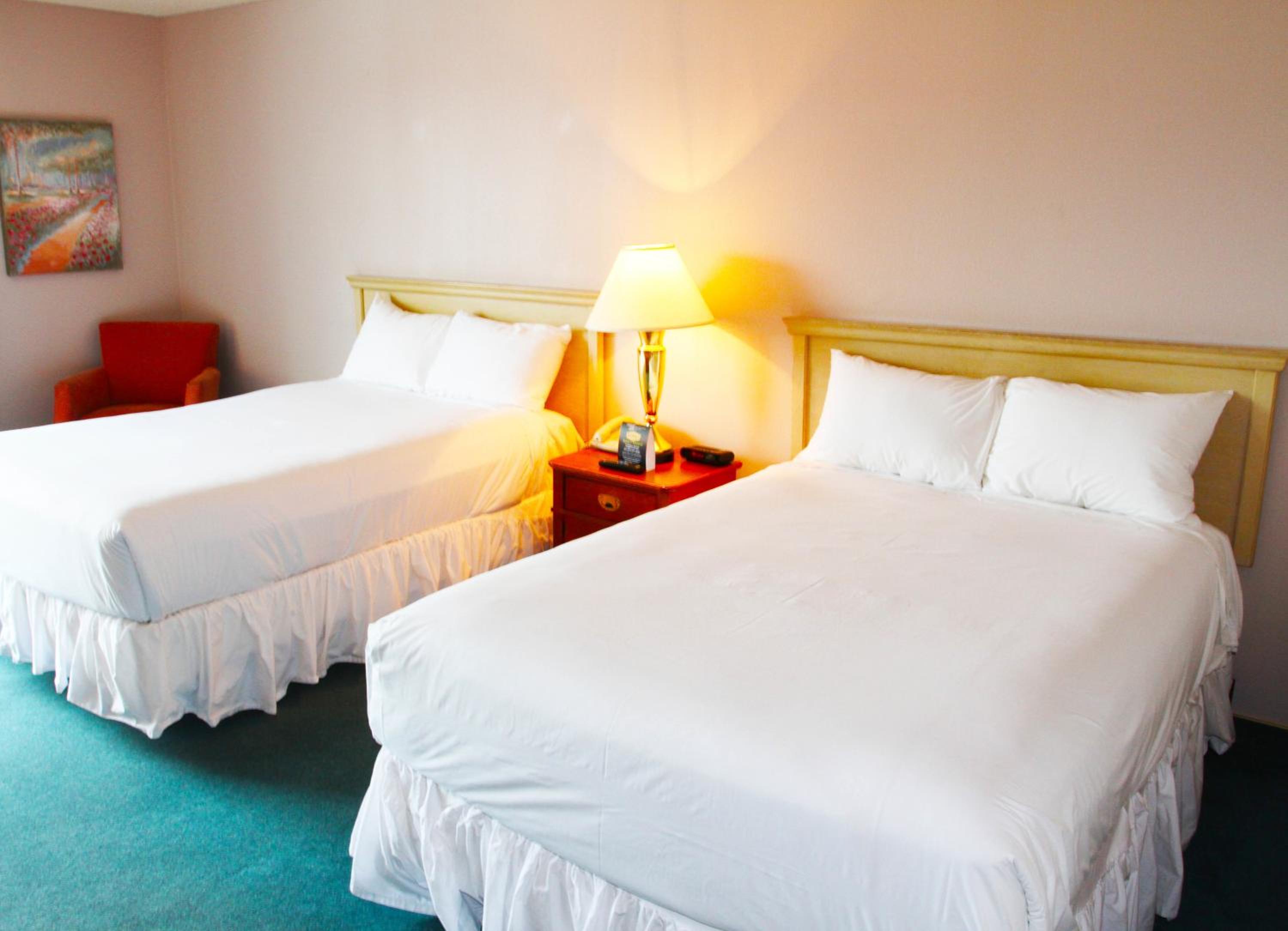 Standard Double Room - Photo 3