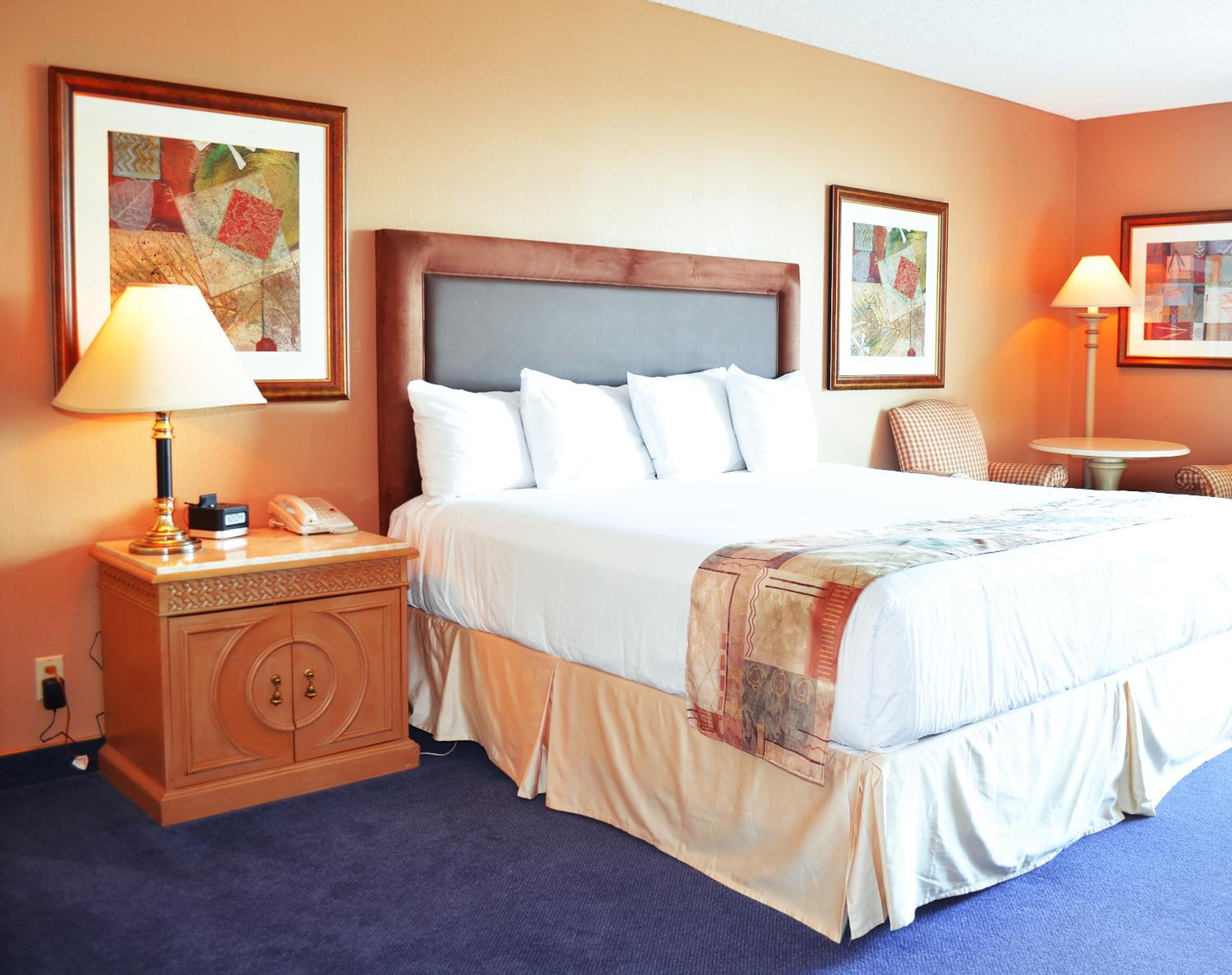 Standard King Room - Photo 3