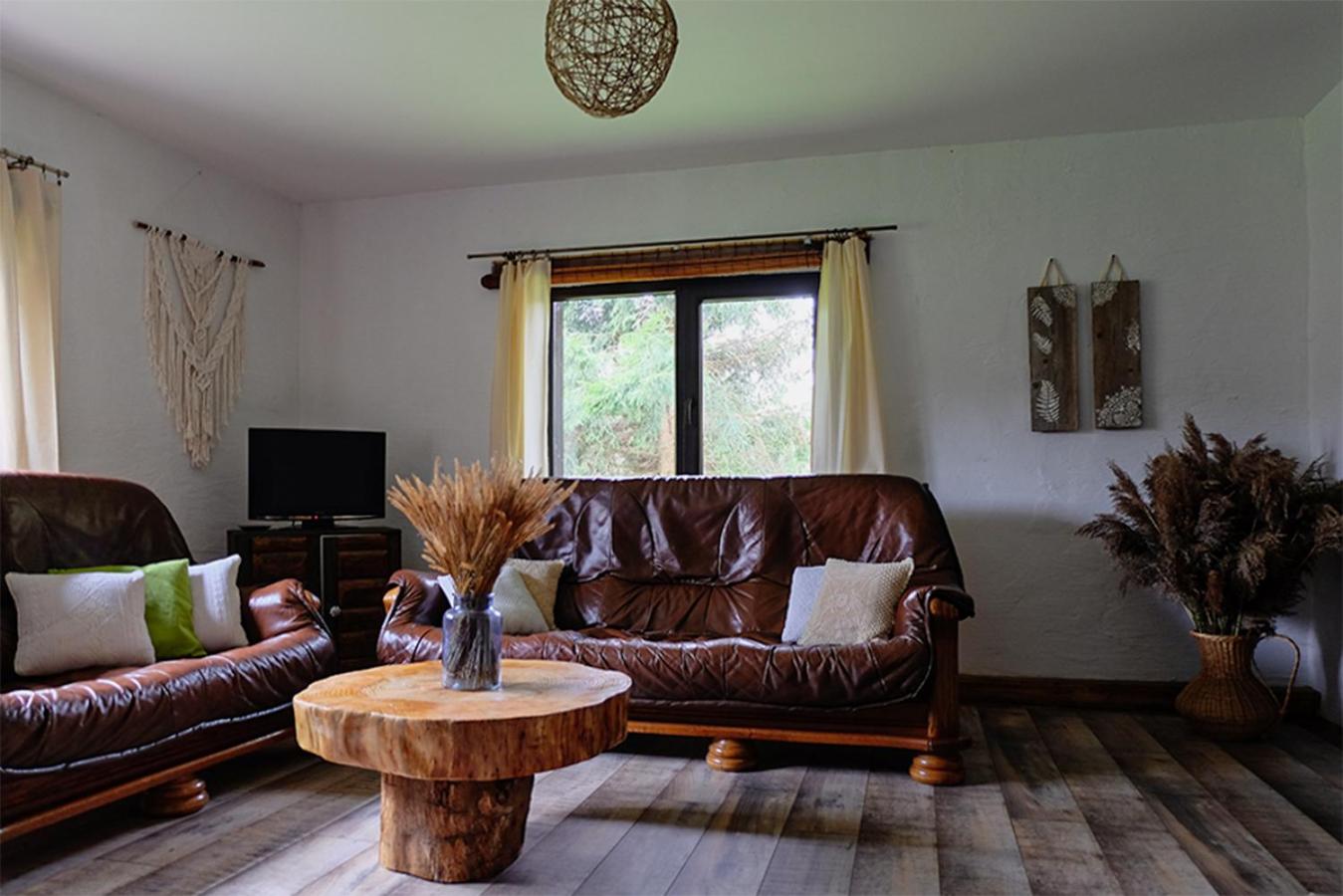 Three-Bedroom House photo 3