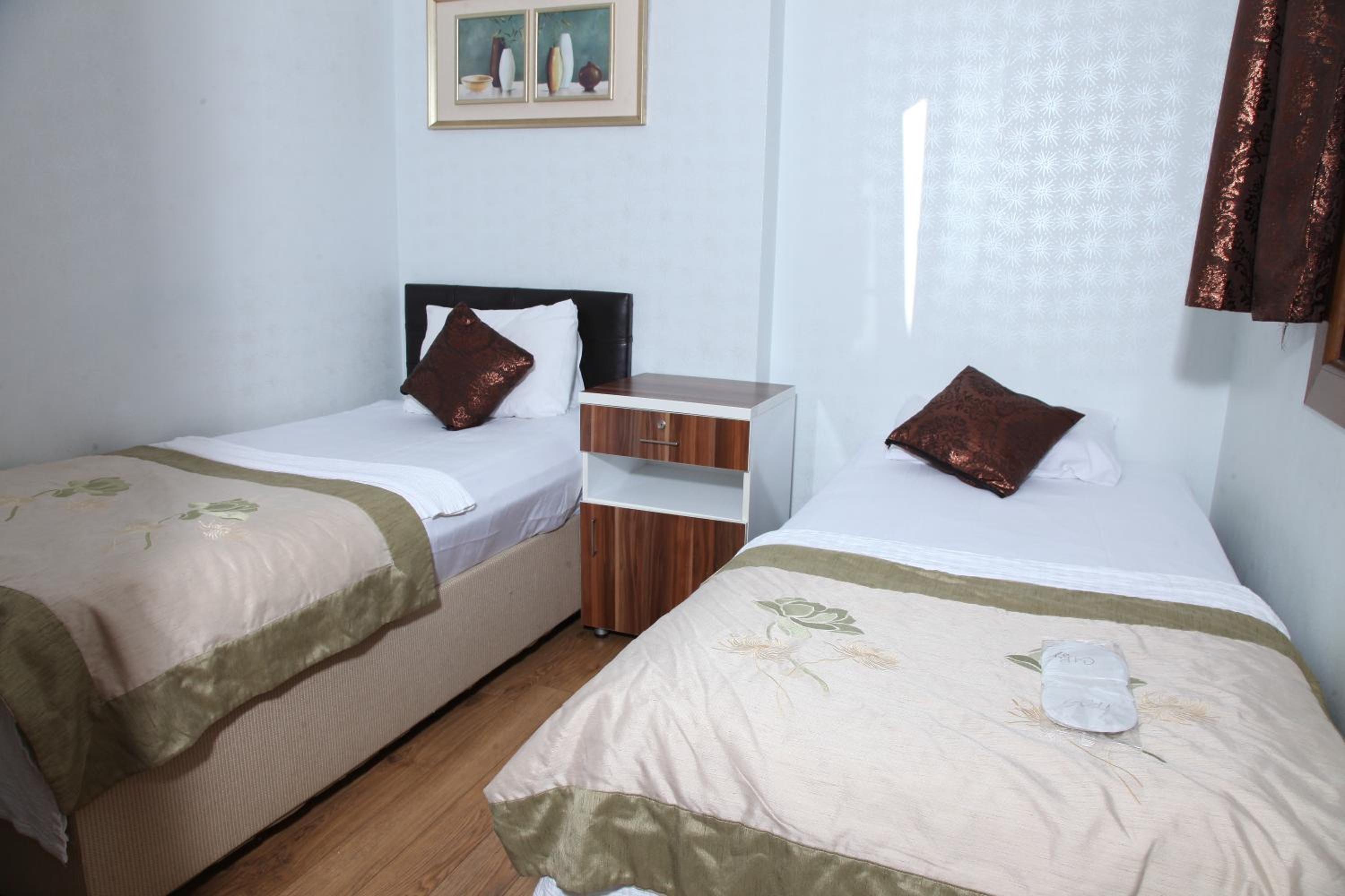 Deluxe Double or Twin Room with City View photo 3