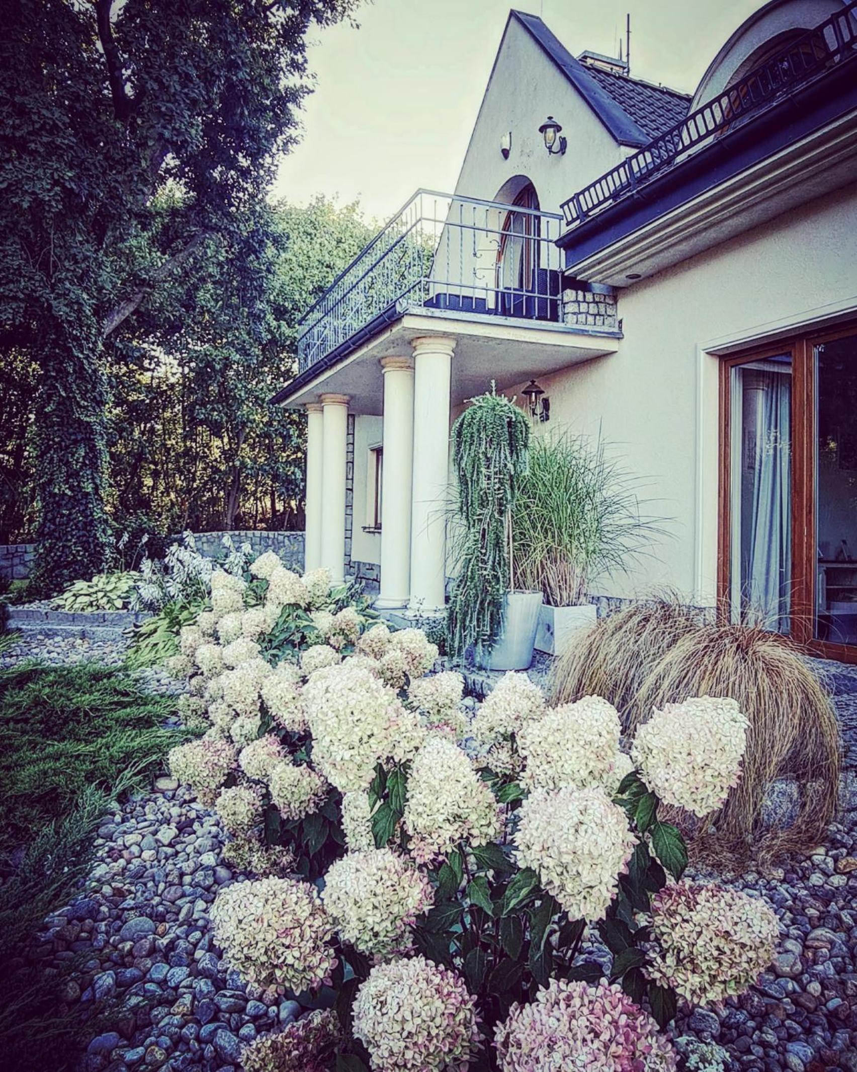 Studio with Garden View photo 1