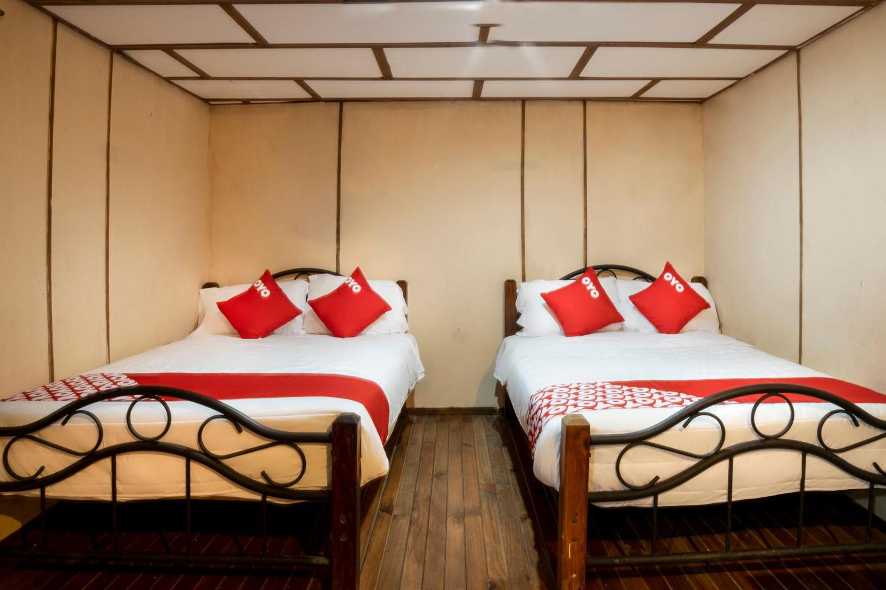 Comfort Suite - Photo 1