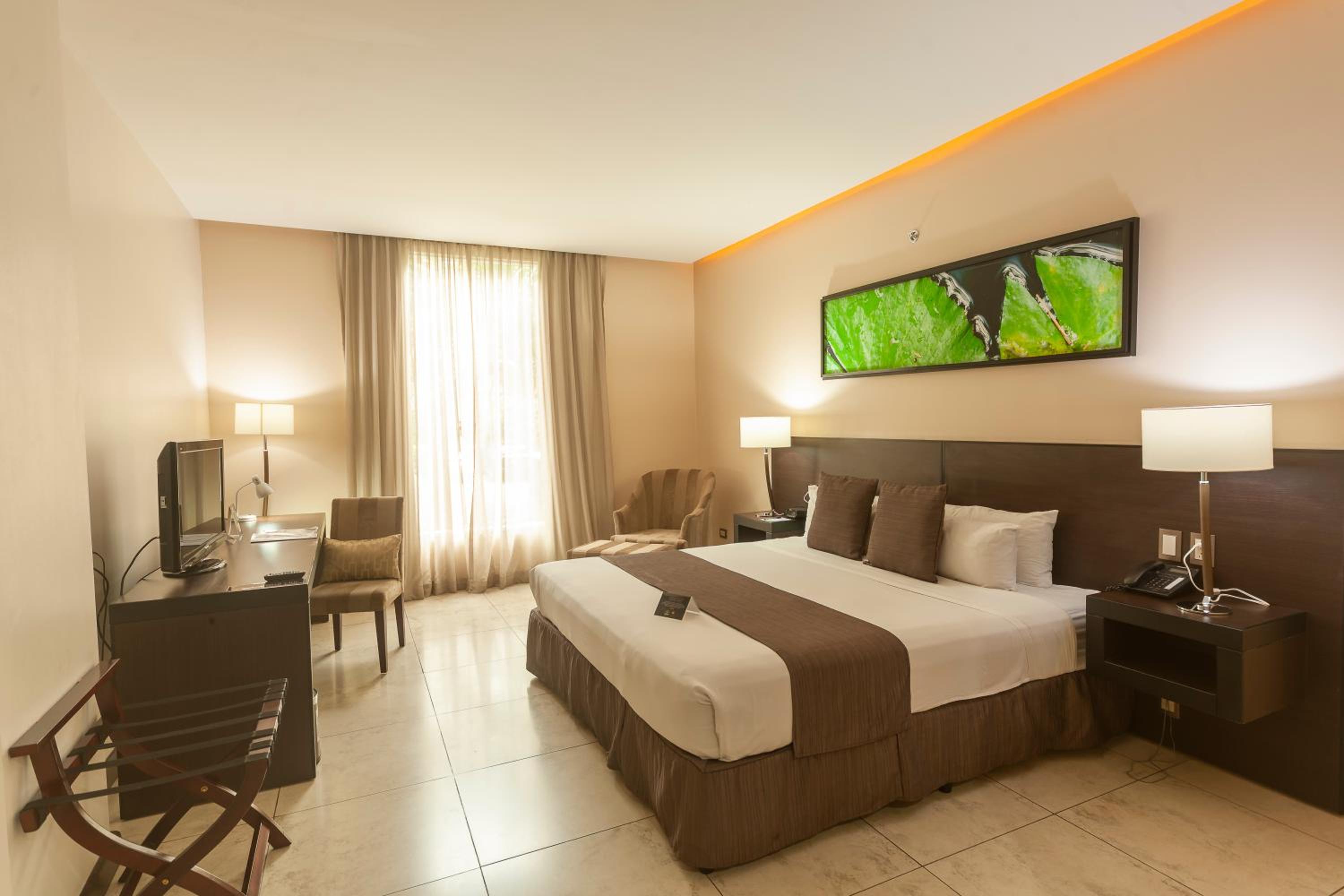 Monolocale Standard con Letto King-Size