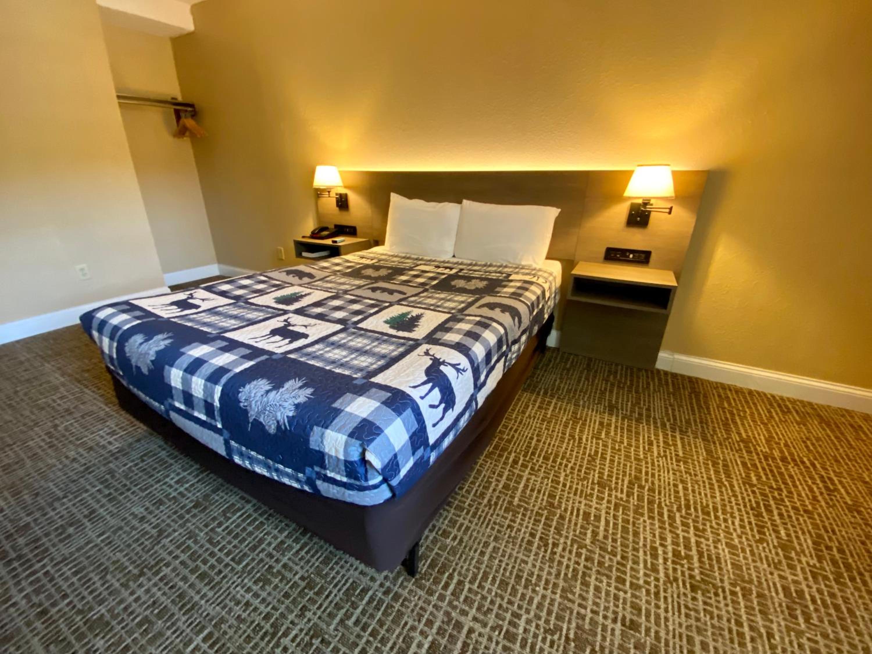 Deluxe Queen Suite - Photo 1