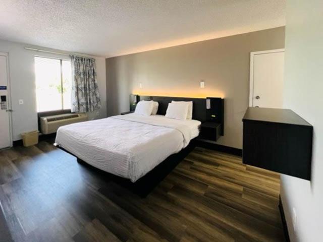 King Room - Non-Smoking - Photo 2