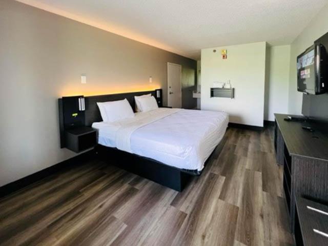 King Room - Disability Access - Non-Smoking - Photo 5