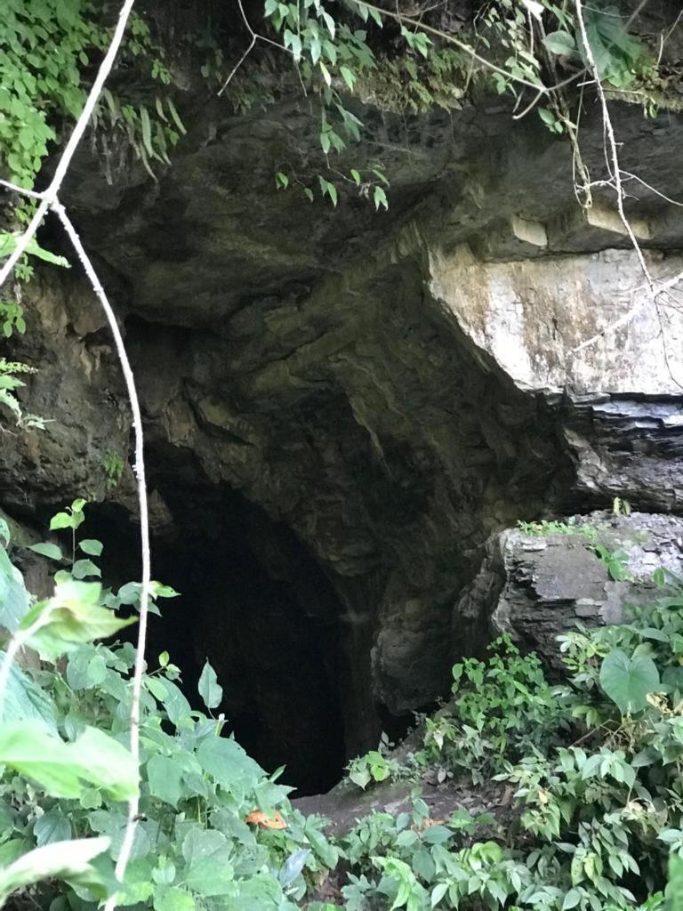 One-Bedroom Cottage photo 3