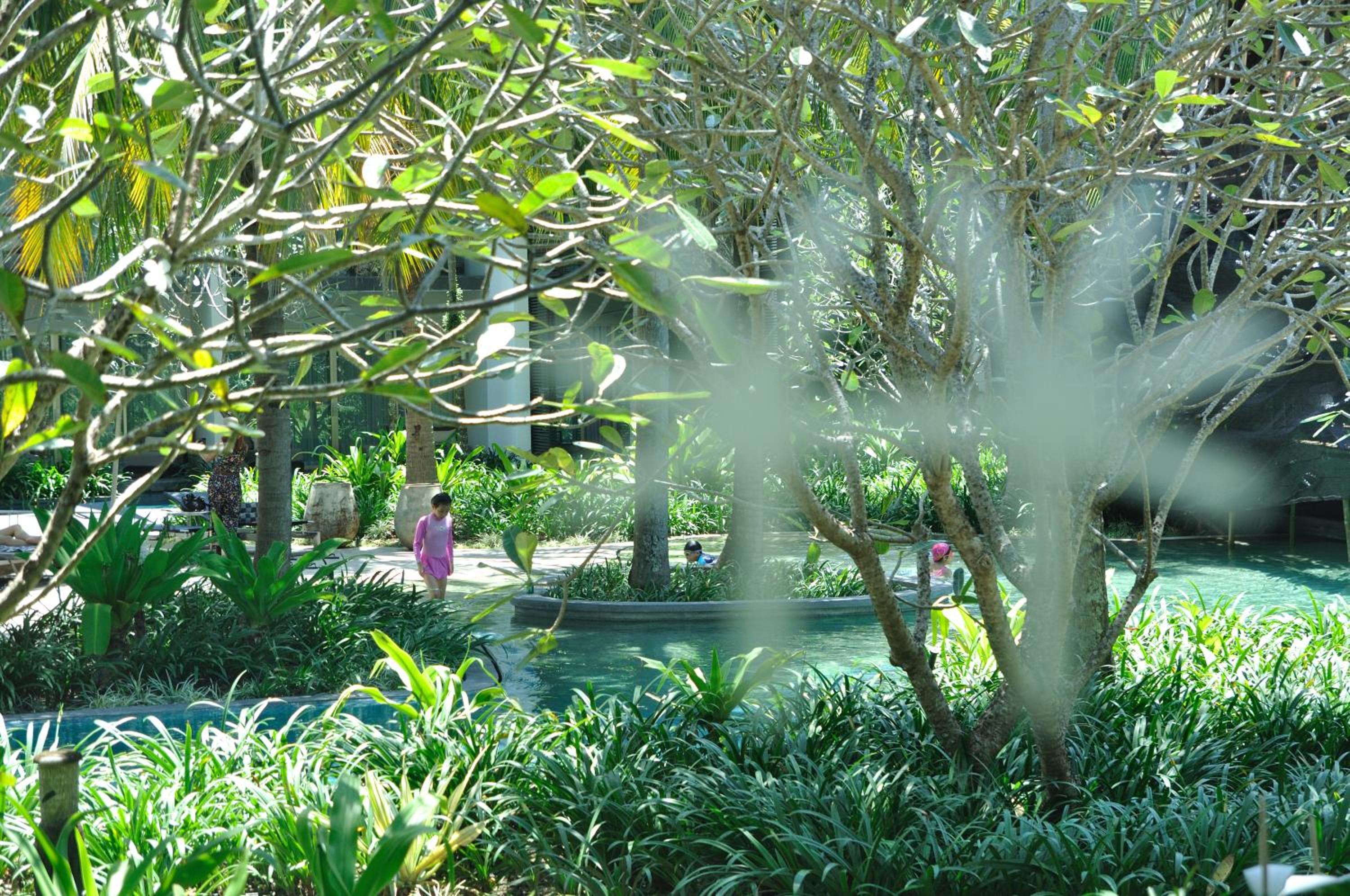 Palm Suite - Photo 3