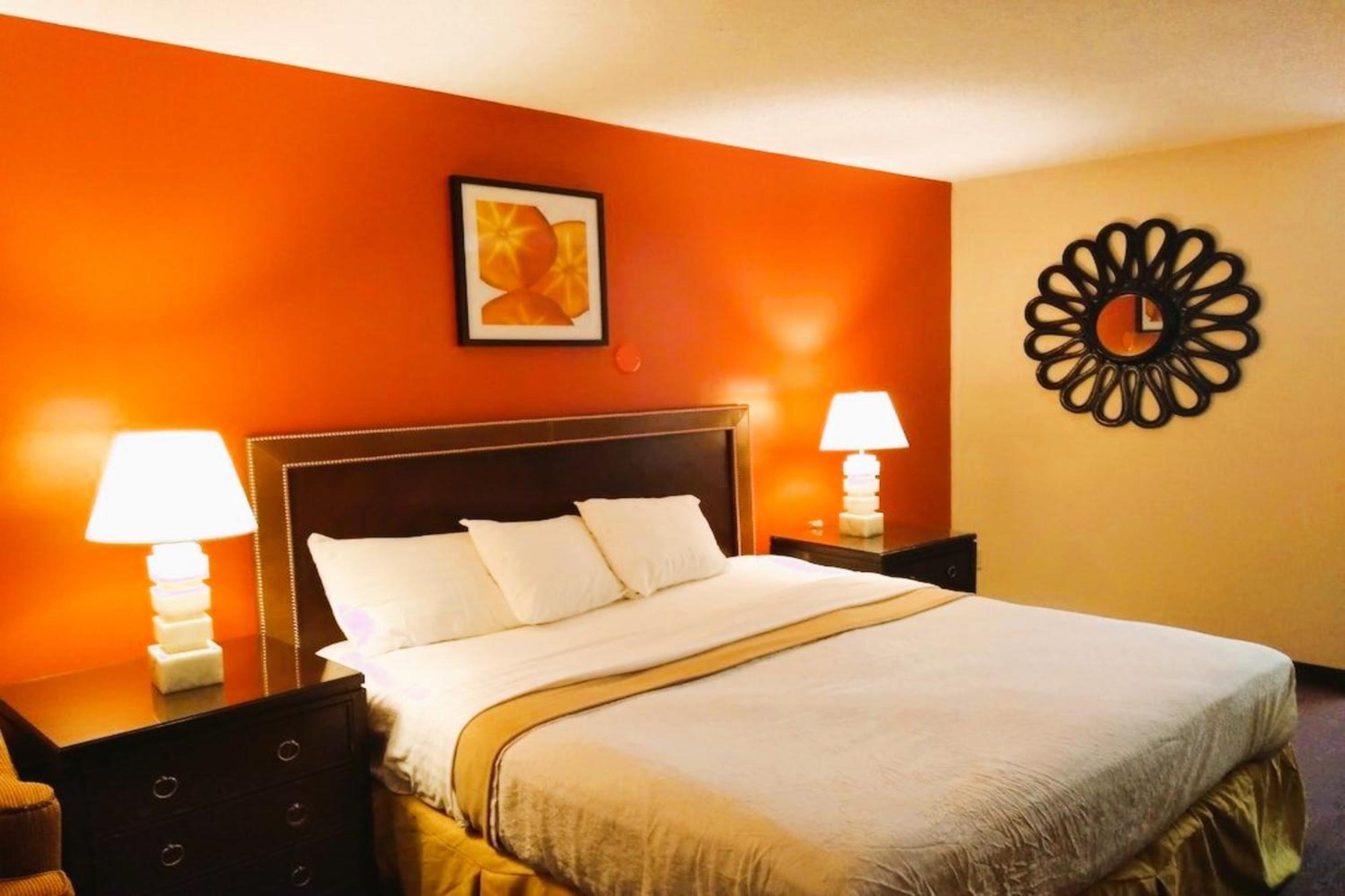King Bed with Kitchenette	 photo 1