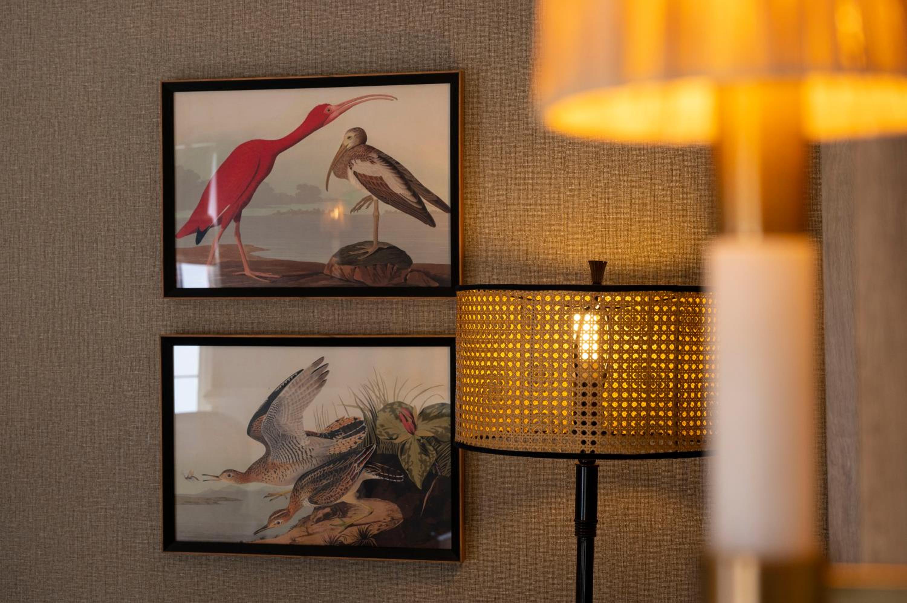 King Suite photo 2