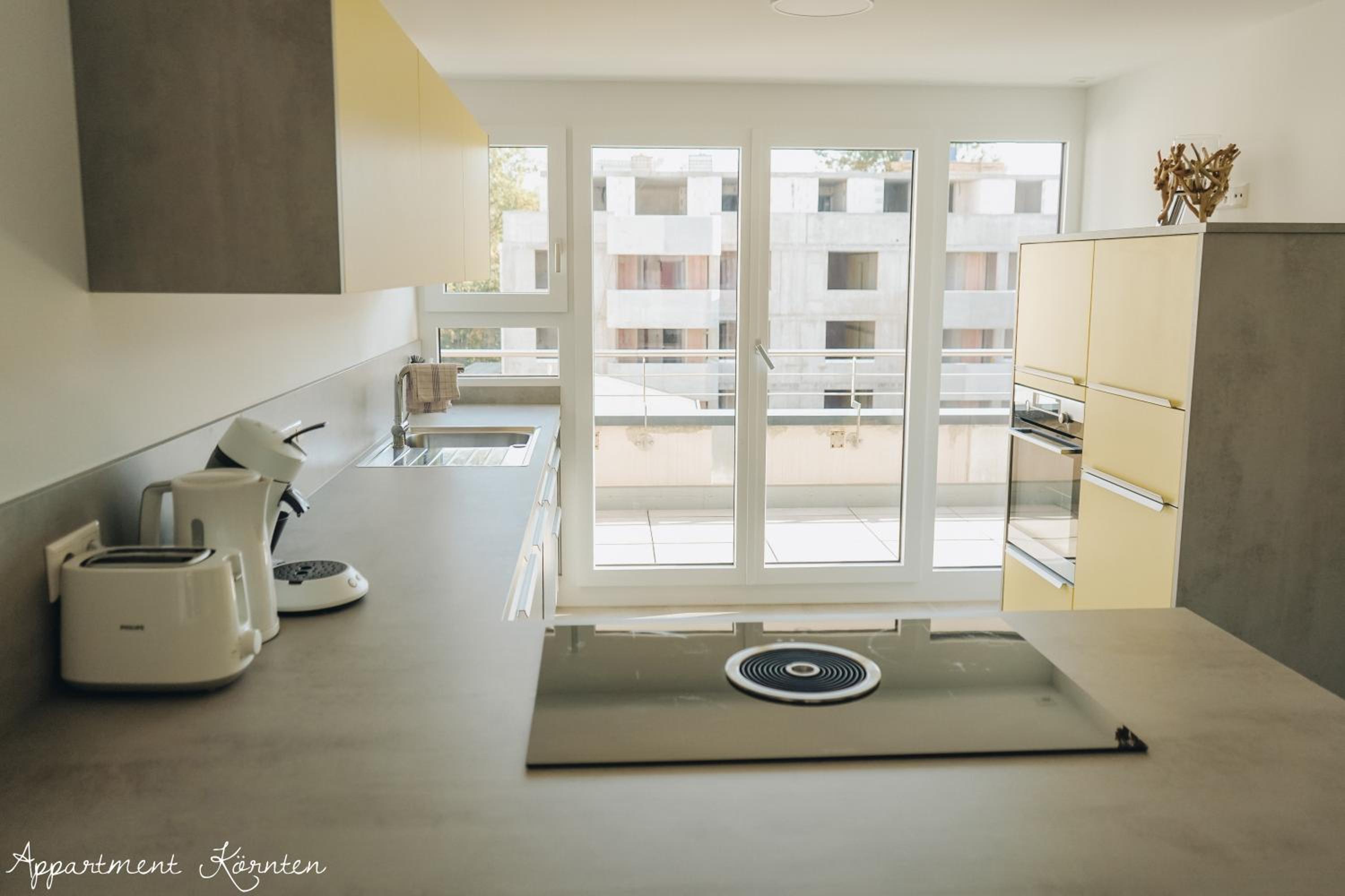 Deluxe One-Bedroom Apartment photo 3