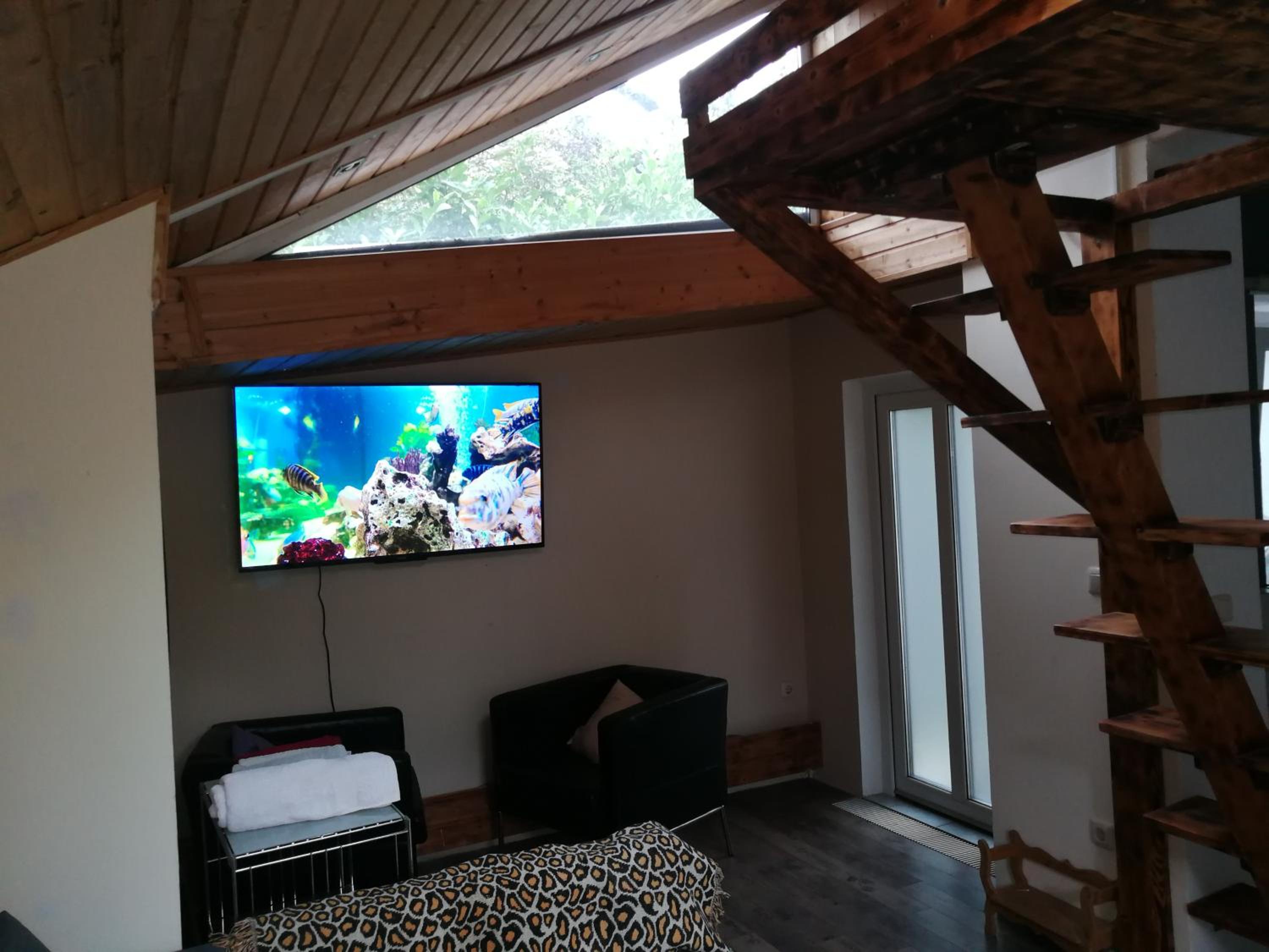 Apartment with Terrace photo 2