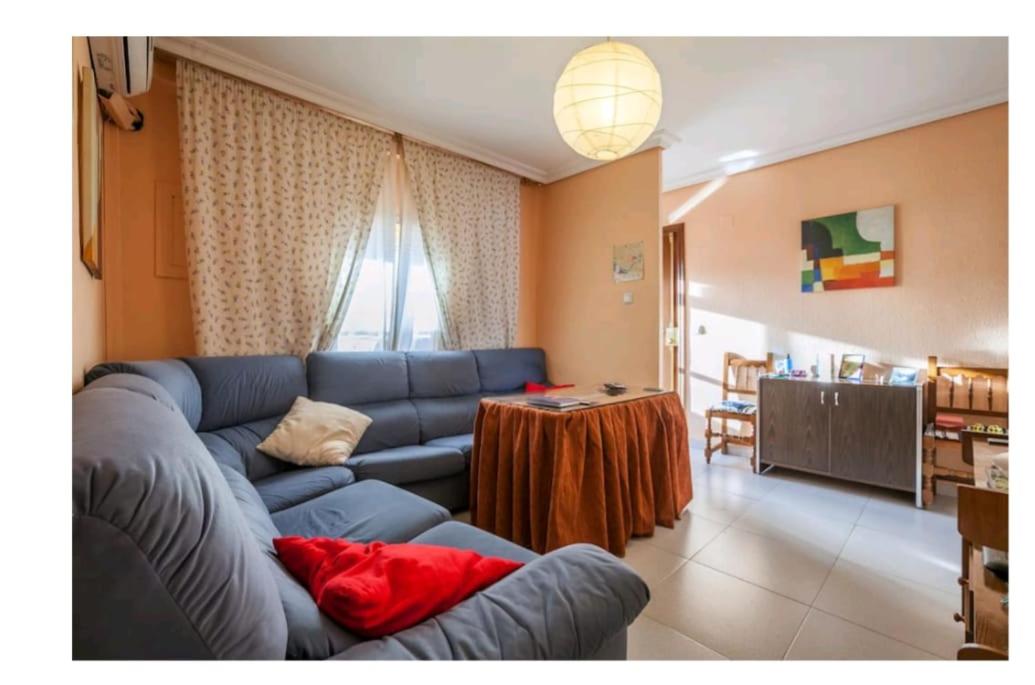 Habitación Individual Económica