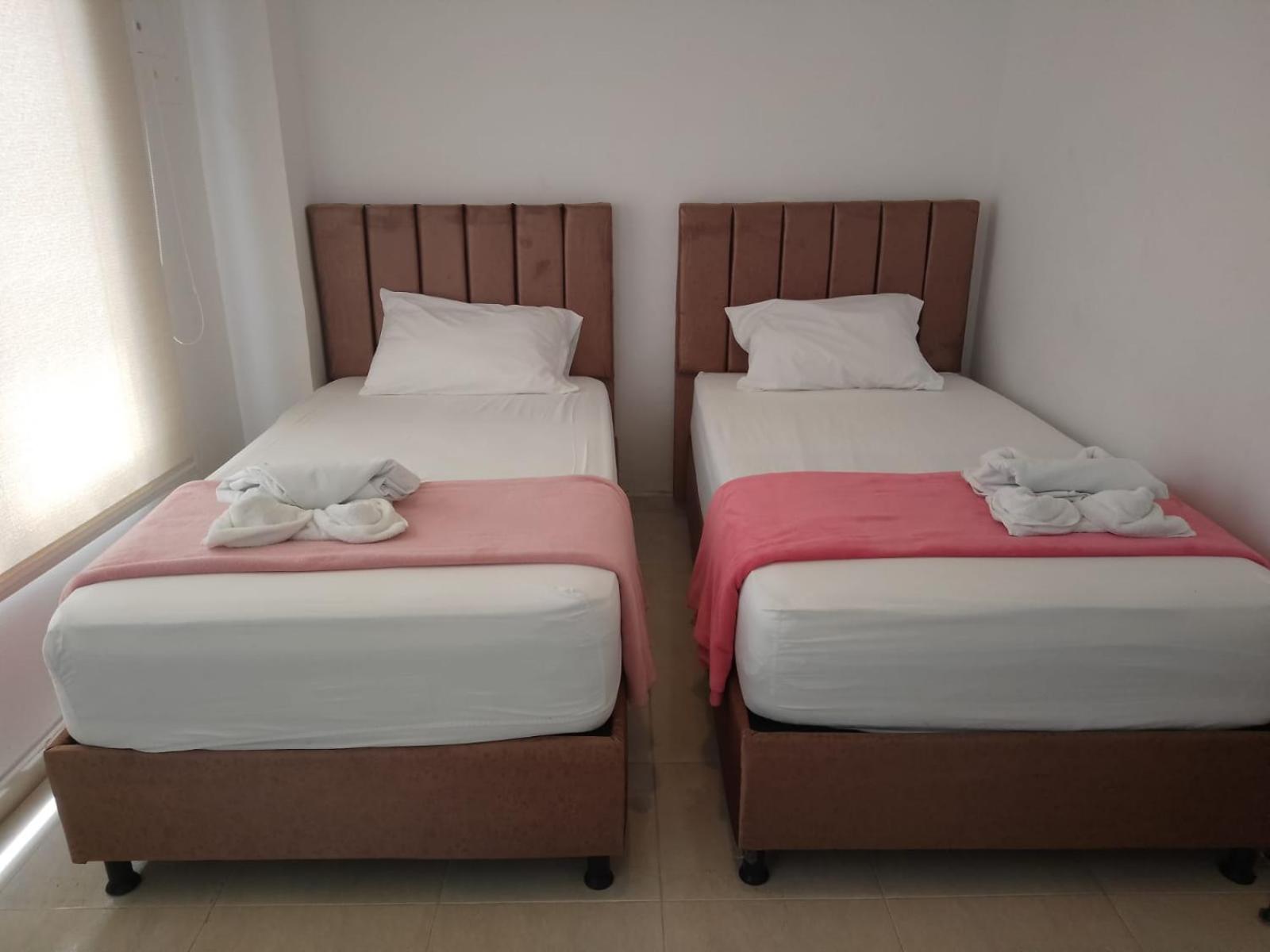 Deluxe Twin Room photo 1