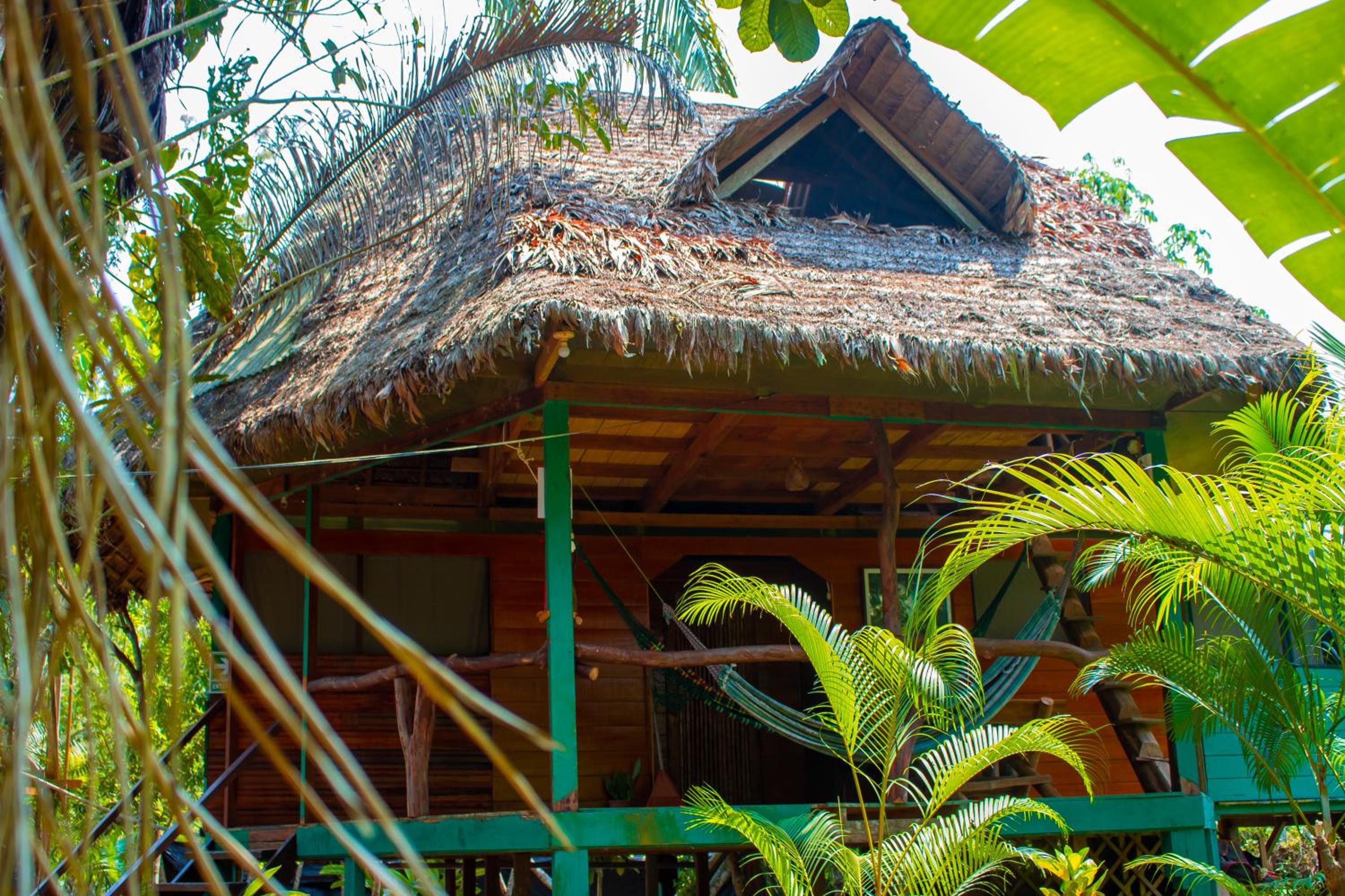 Family Bungalow photo 3