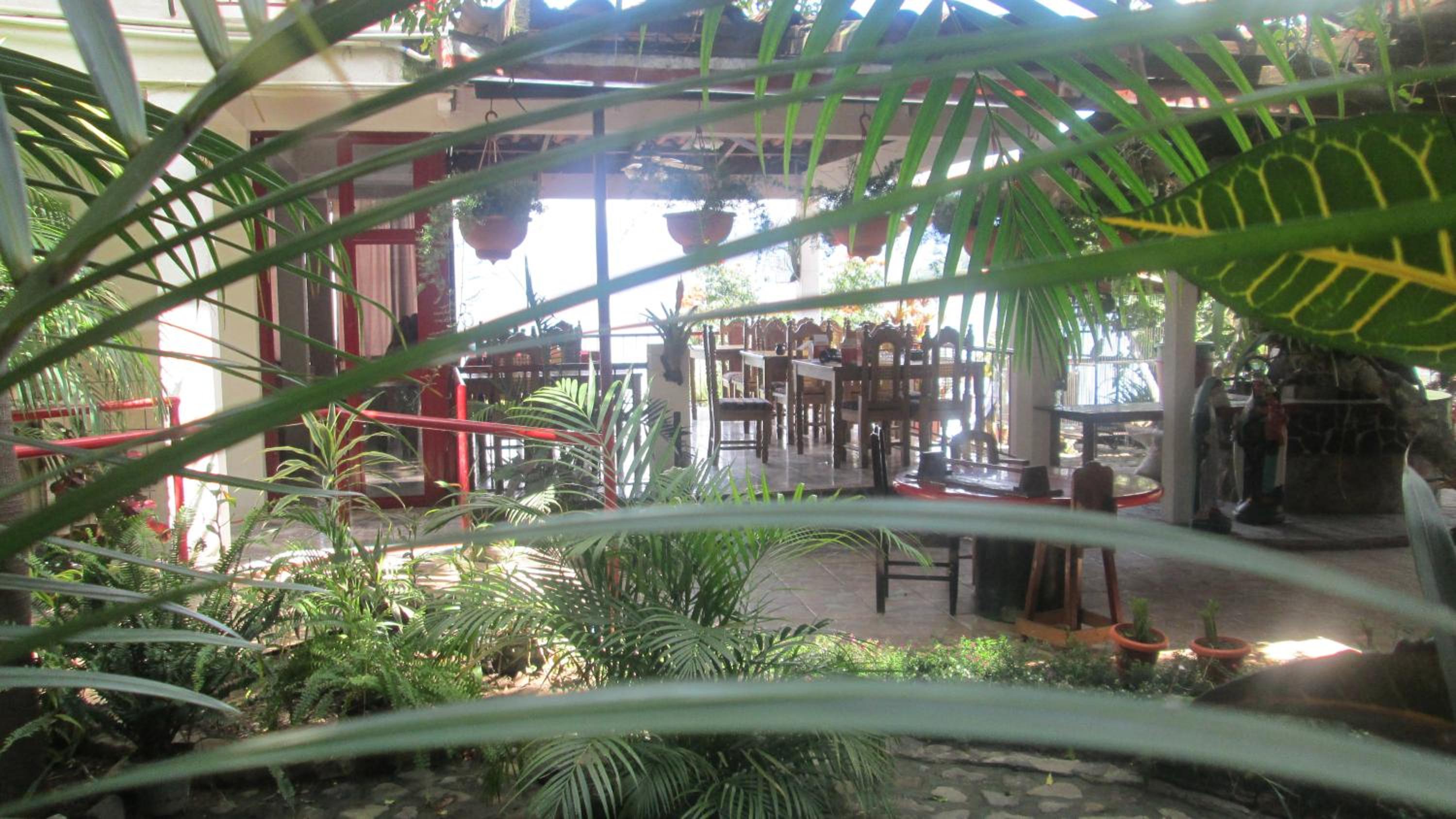 Suite With Garden View Accessible photo 3