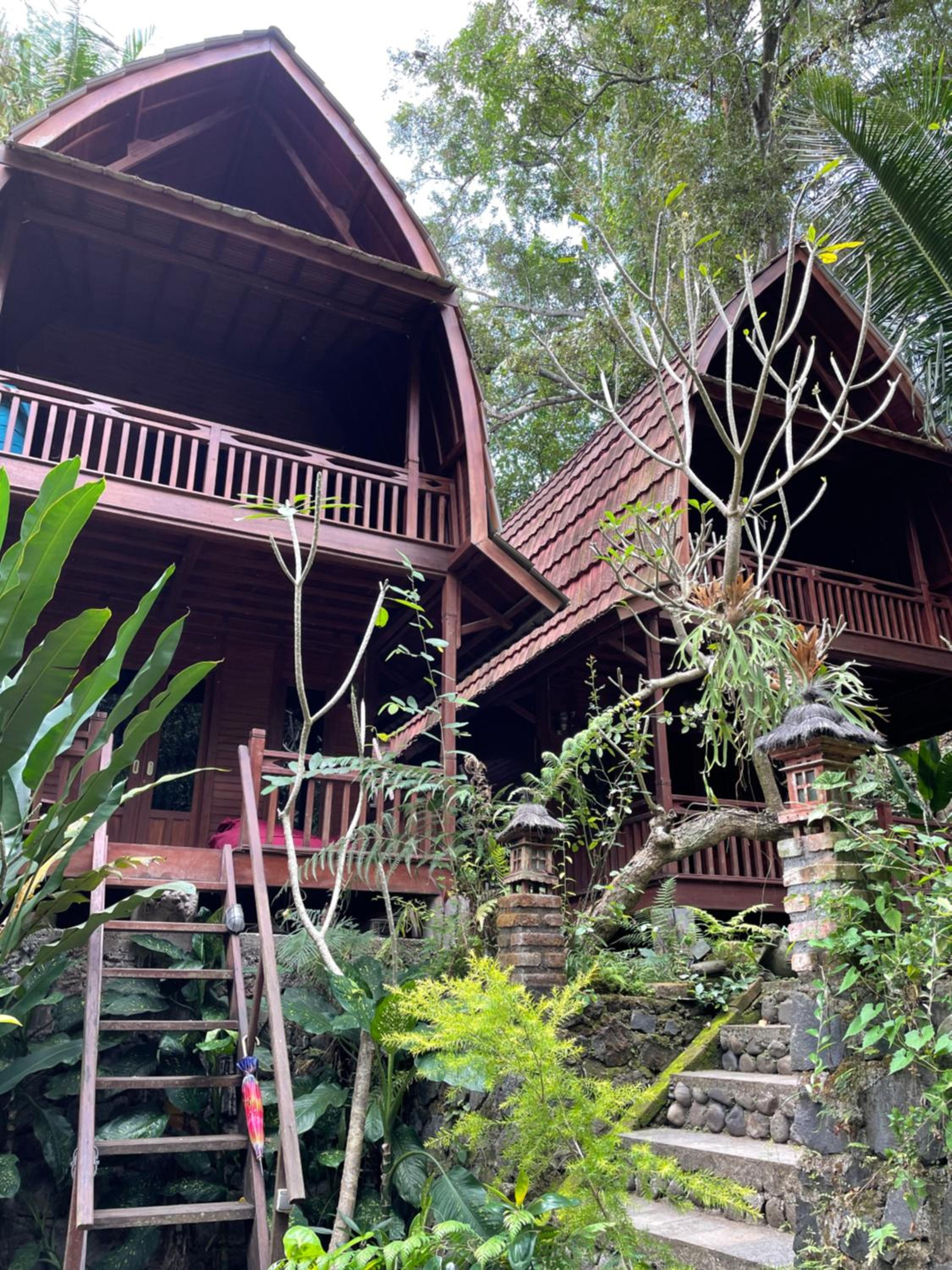 Deluxe Bungalow with Garden View - Photo 17