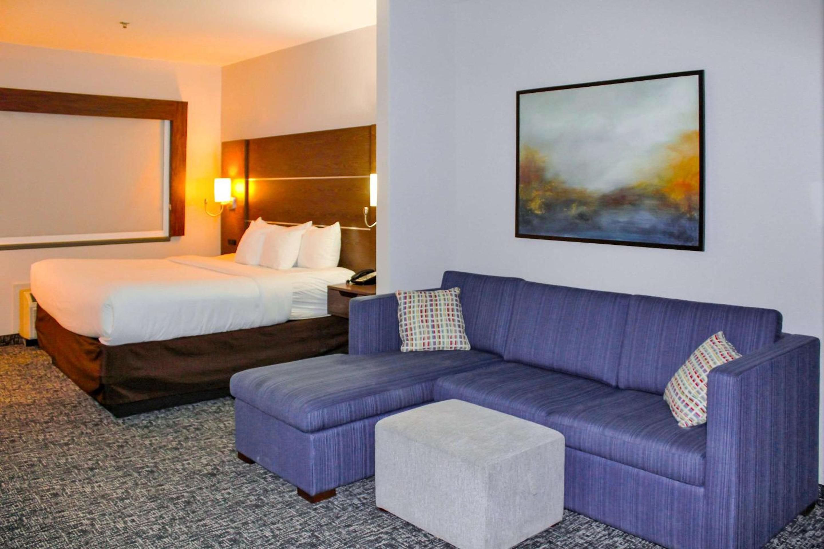 King Suite with Sofa Bed - Non-Smoking - Photo 1