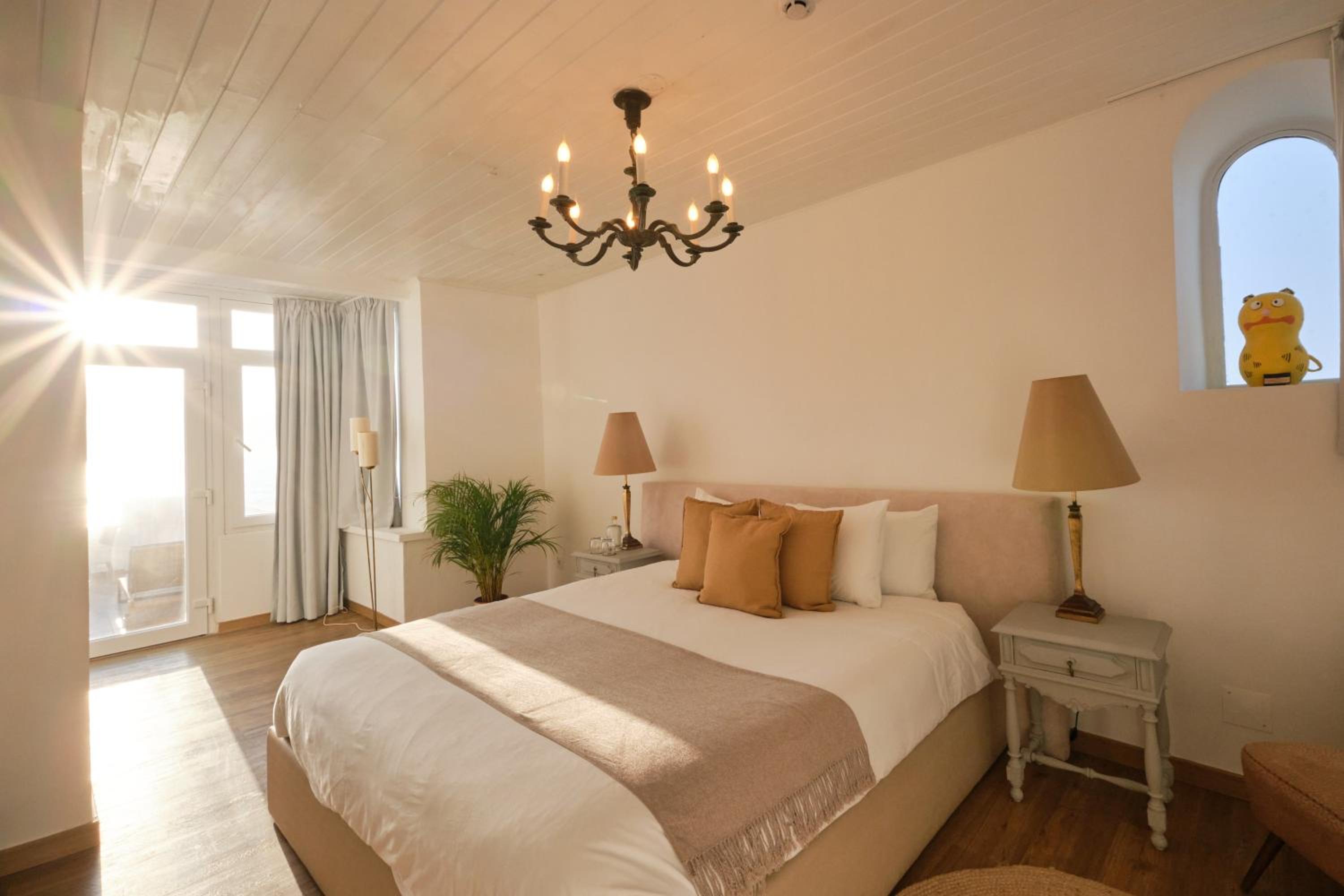 Junior Suite with Terrace