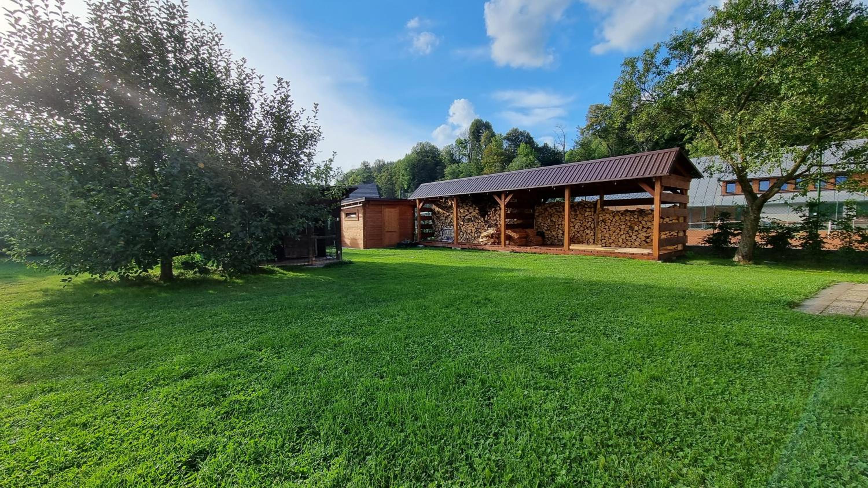 Three-Bedroom Chalet photo 3