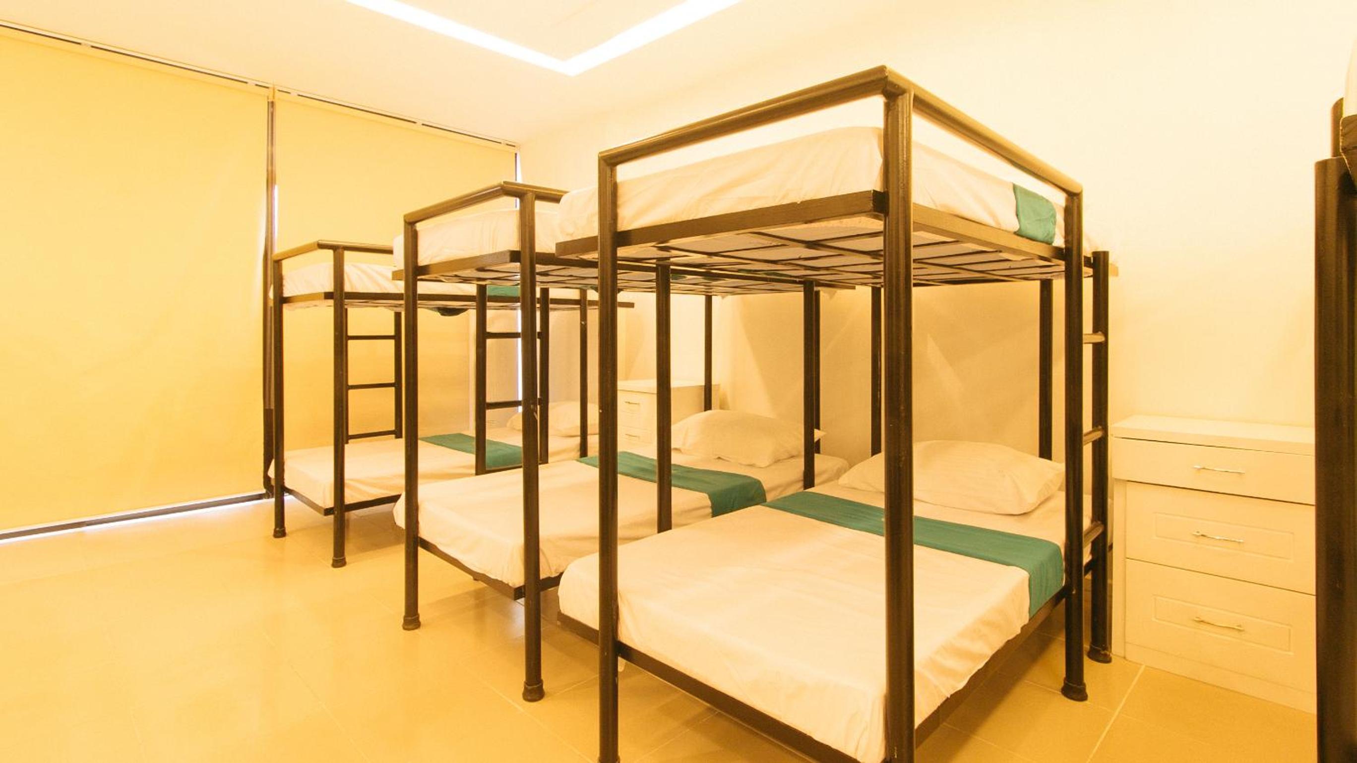 Bunk Bed in Mixed Dormitory Room photo 2