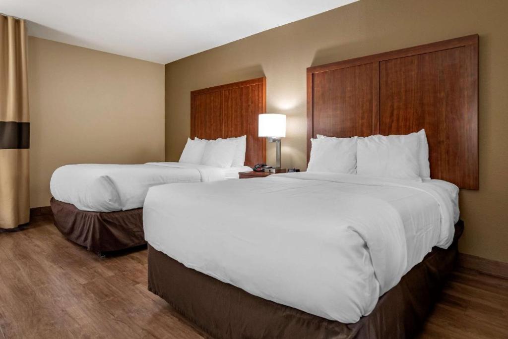 Double Room with Two Double Beds - Non-Smoking - Photo 1