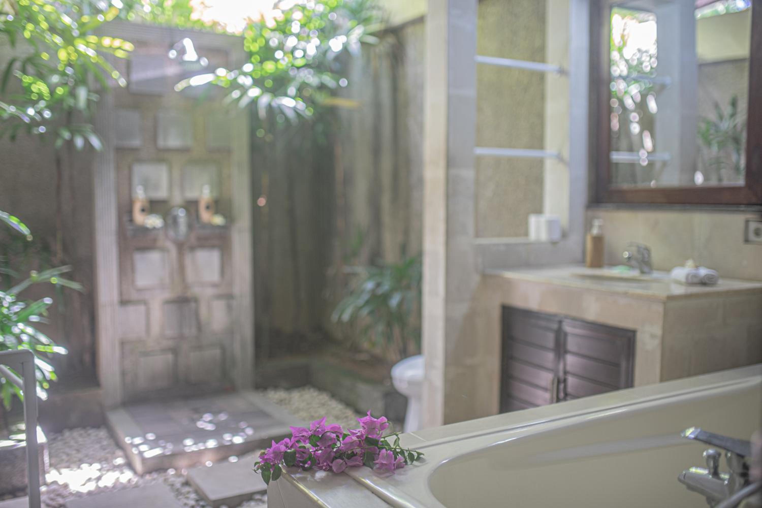 Studio with Terrace photo 2