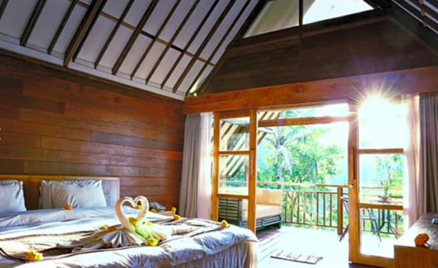 Suite Room photo 1