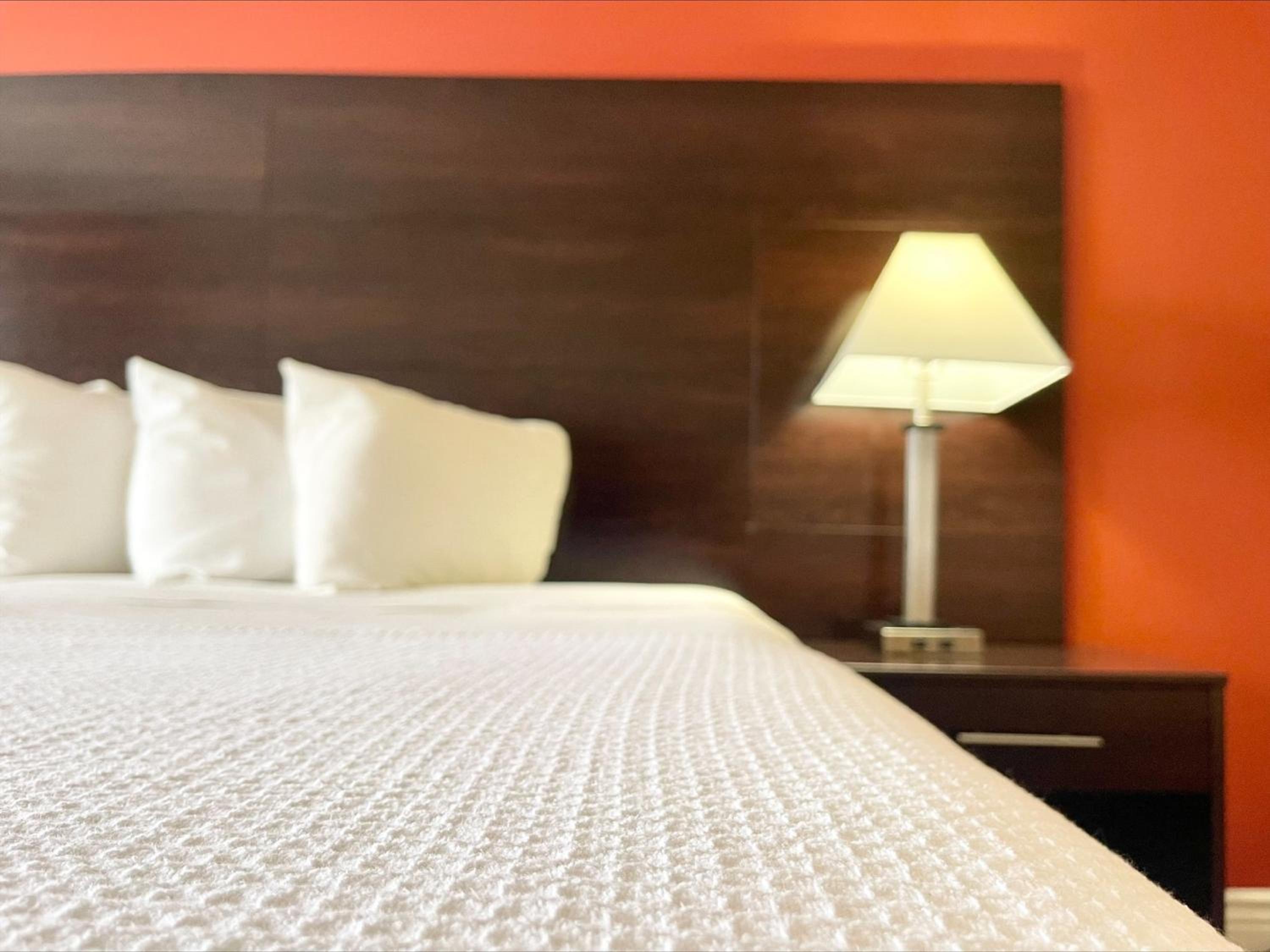 Deluxe King Suite