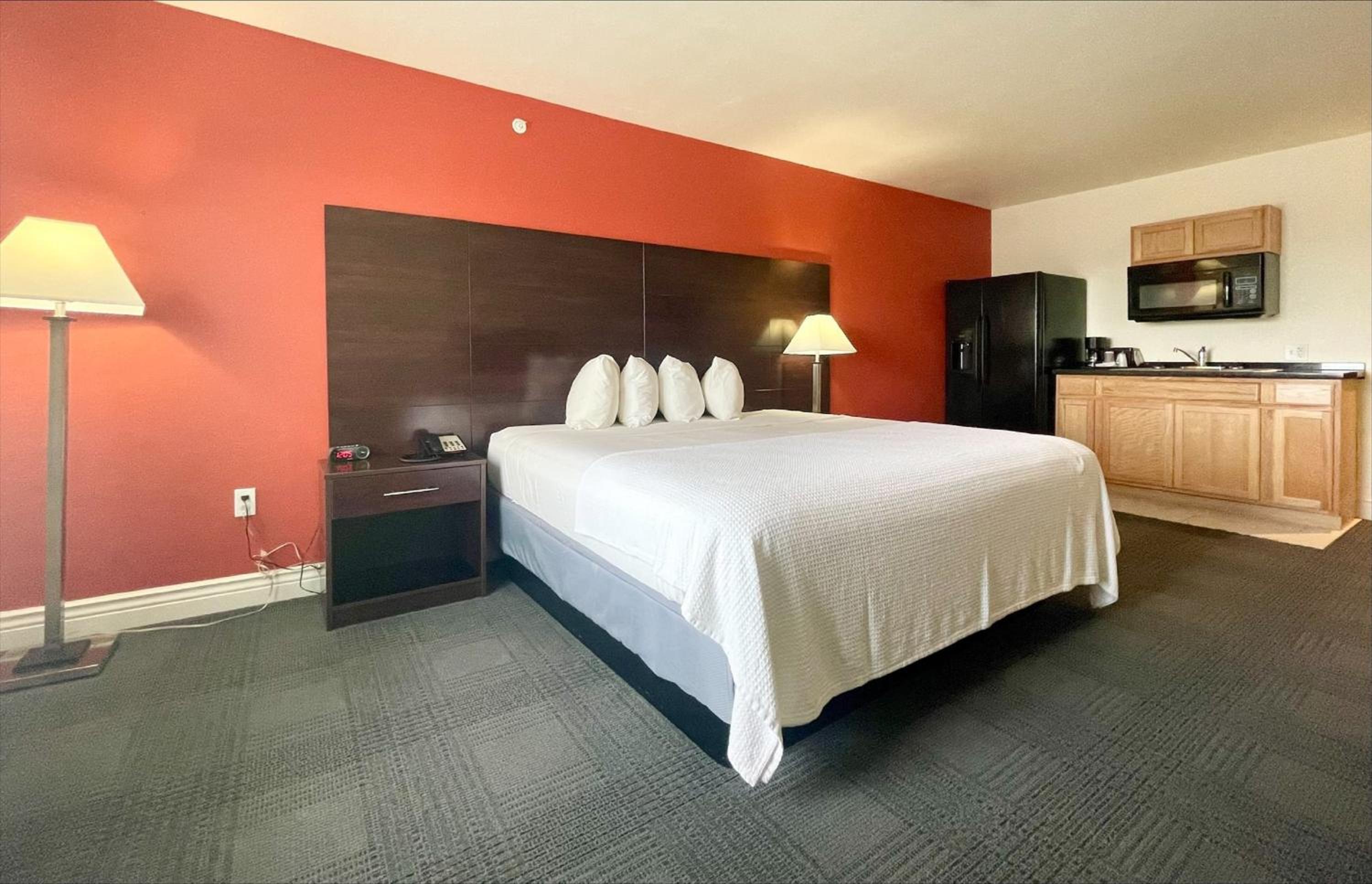 Deluxe King Suite - Photo 3