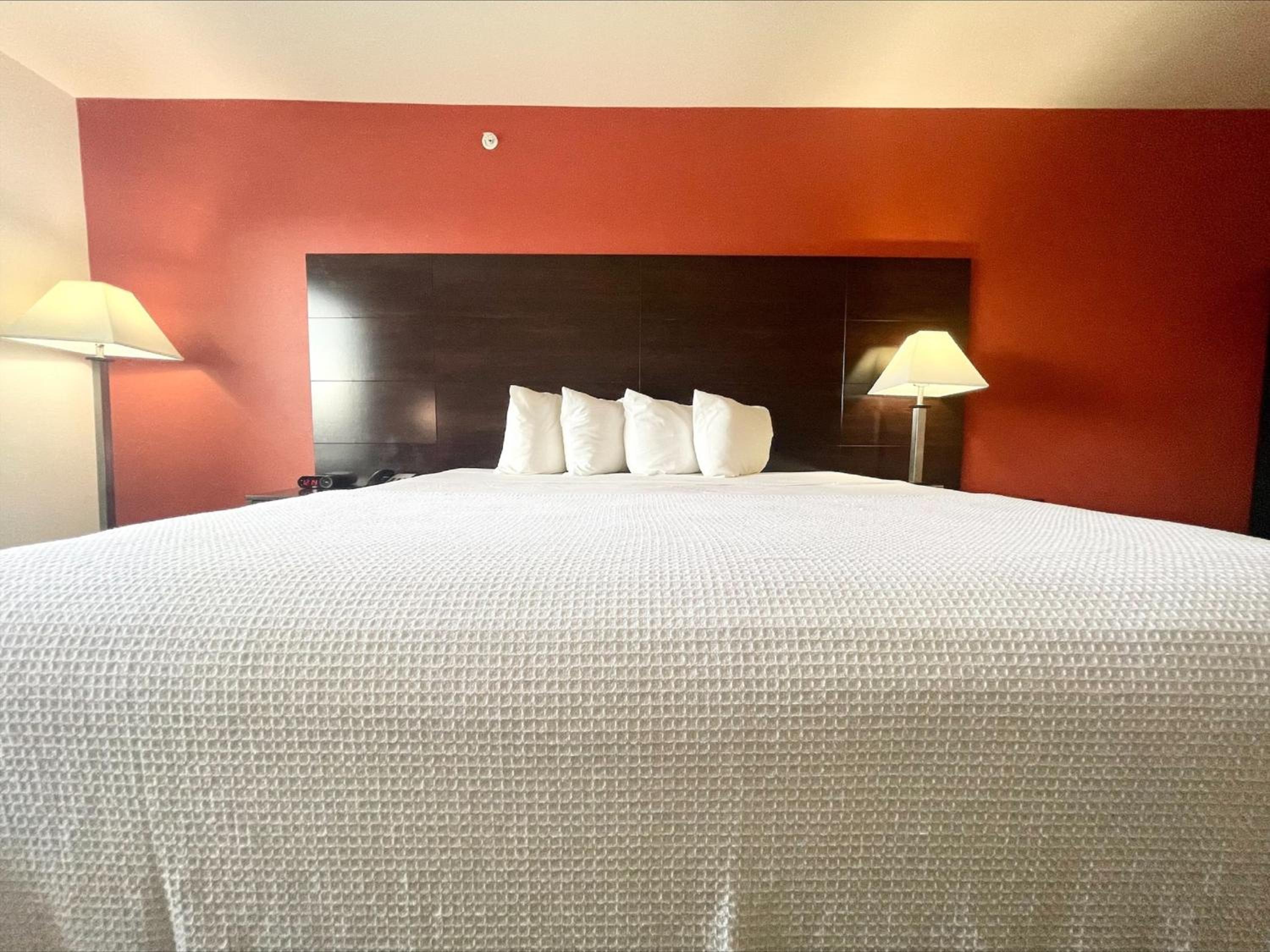Deluxe King Suite - Photo 2
