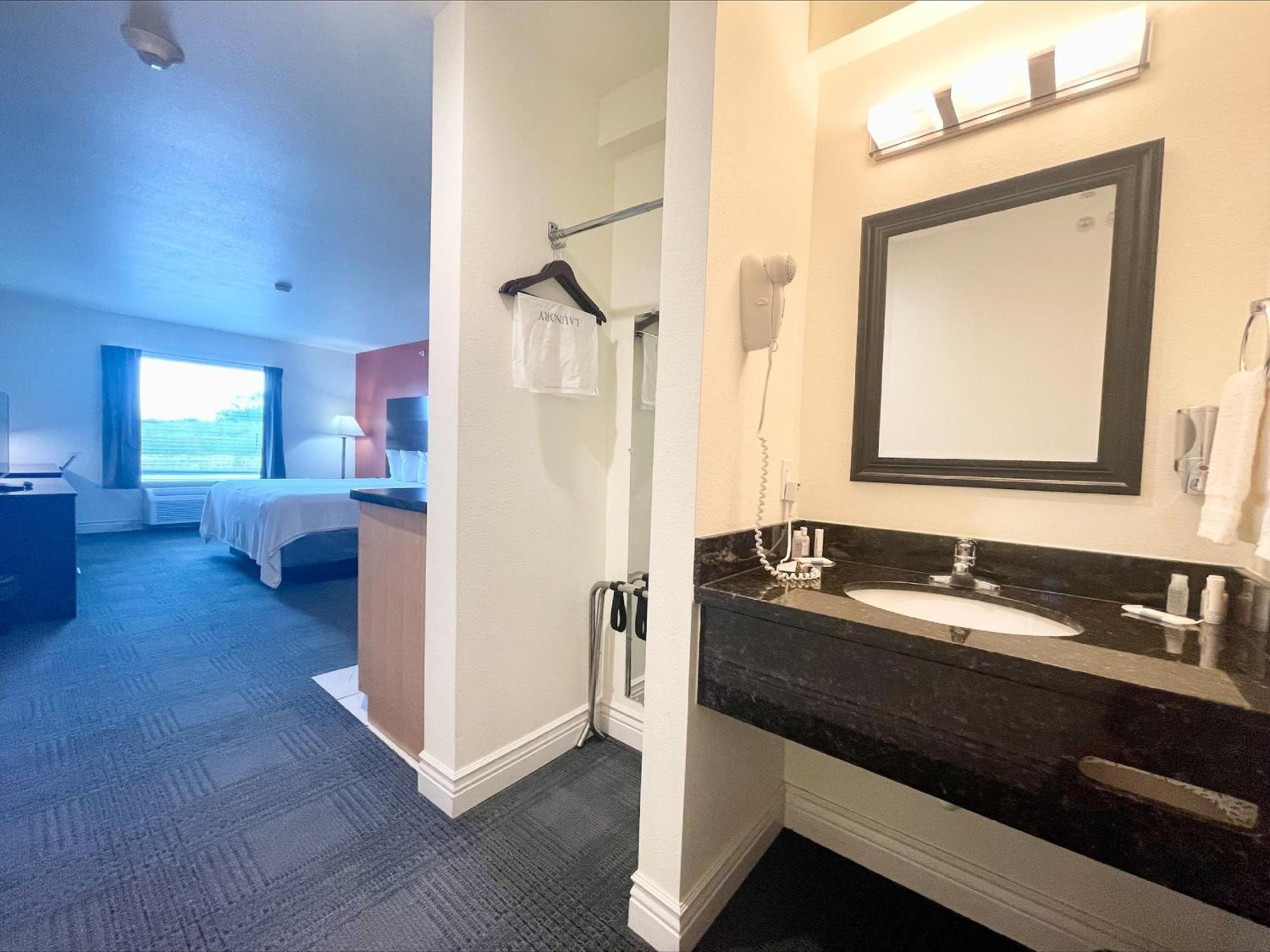 Deluxe King Suite - Photo 6