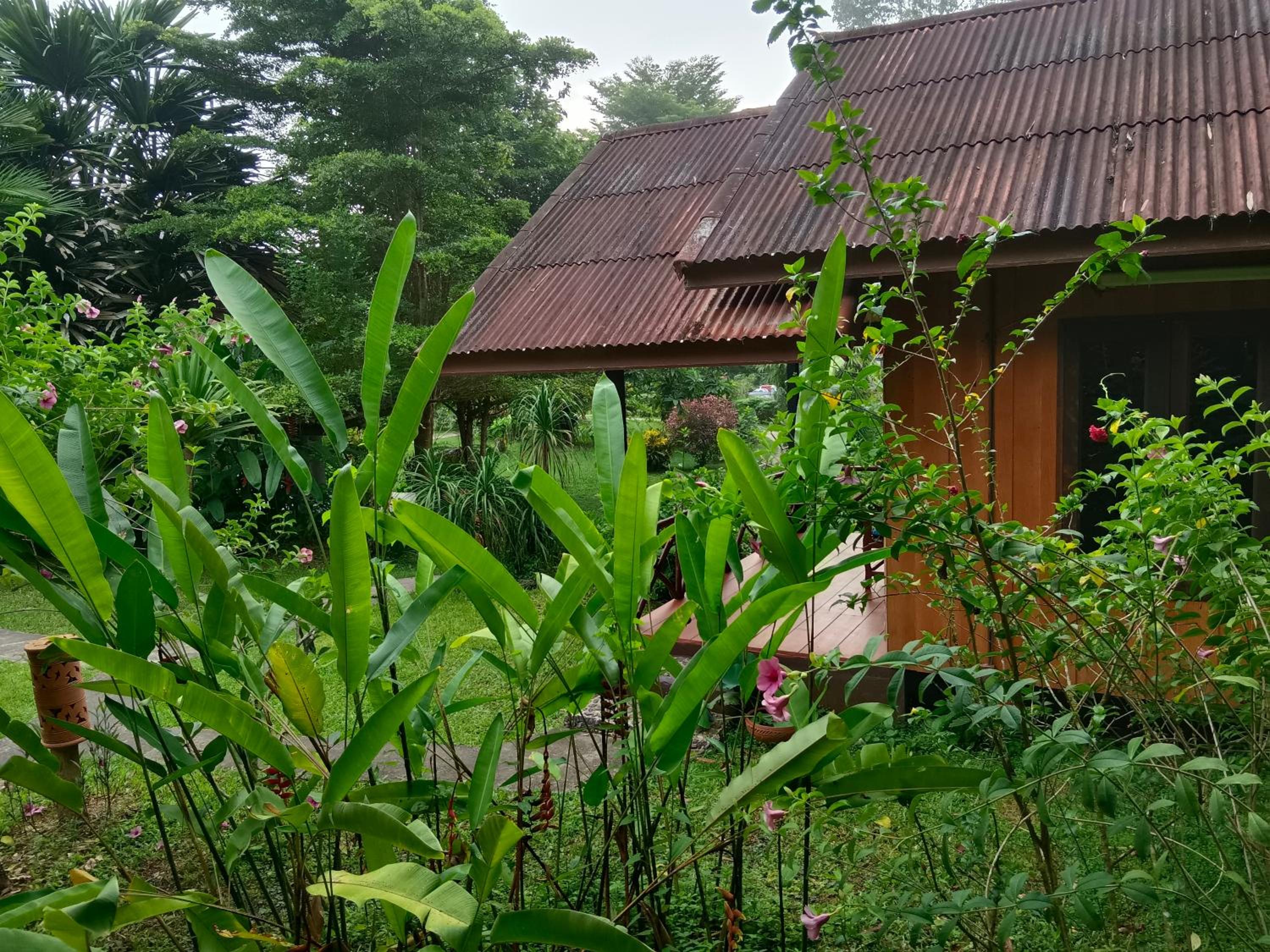 Queen Room with Garden View - Photo 39