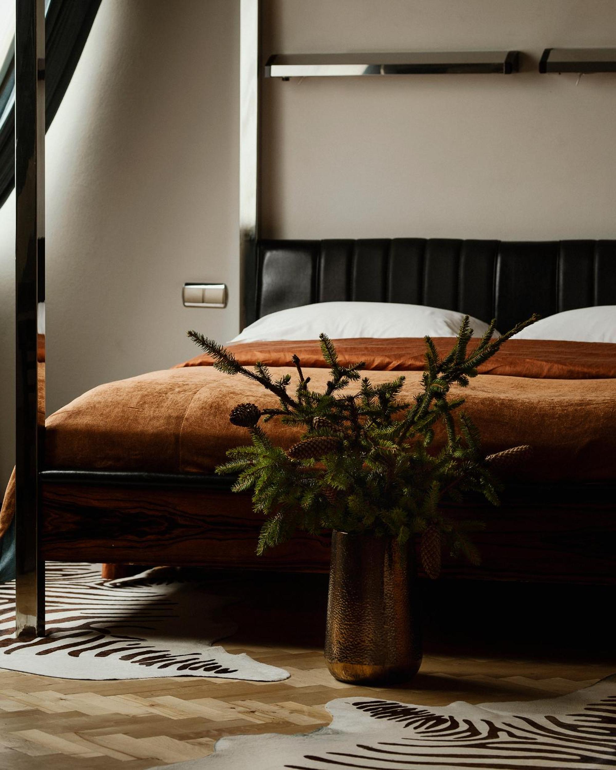 Suite - Photo 1