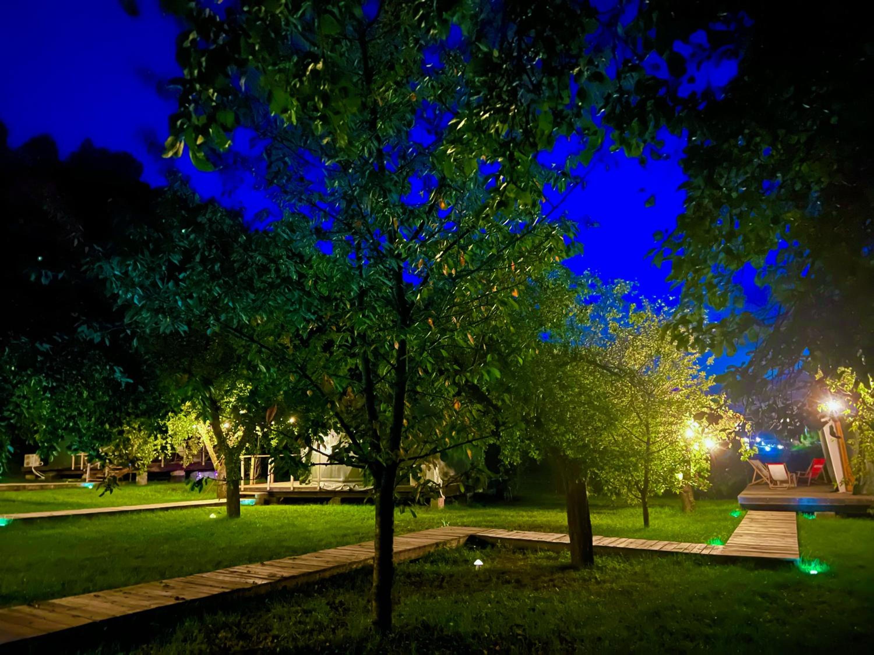 Tent - Photo 14