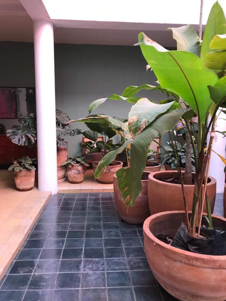 Superior Apartment - Photo 29