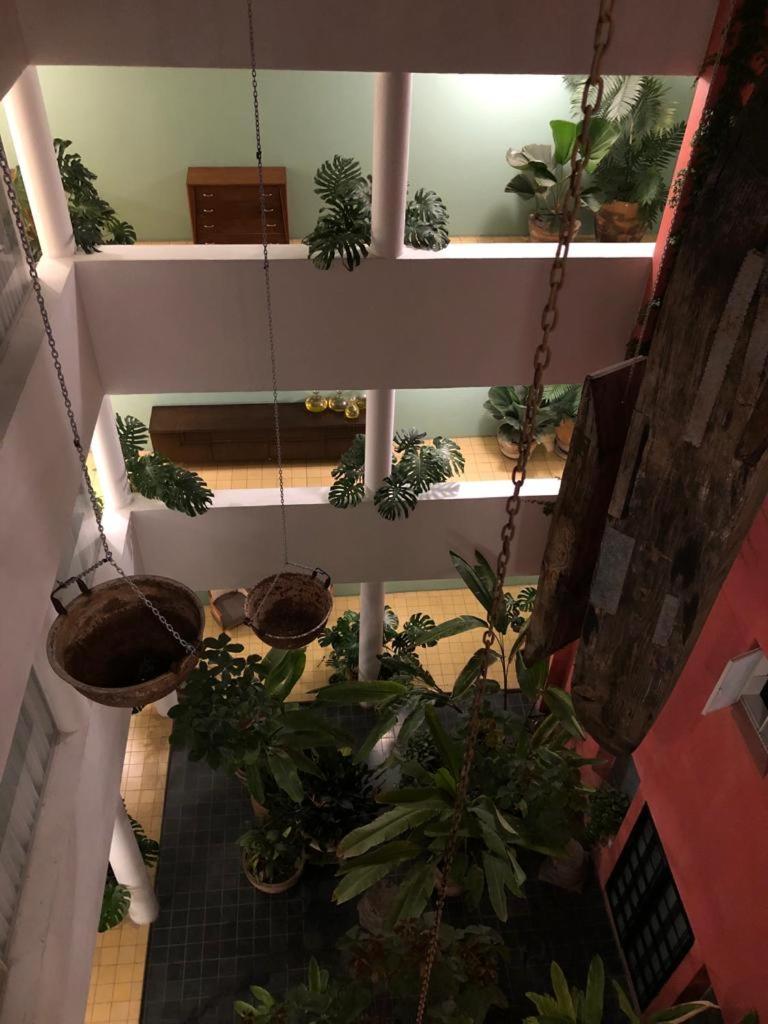 Superior Apartment - Photo 26