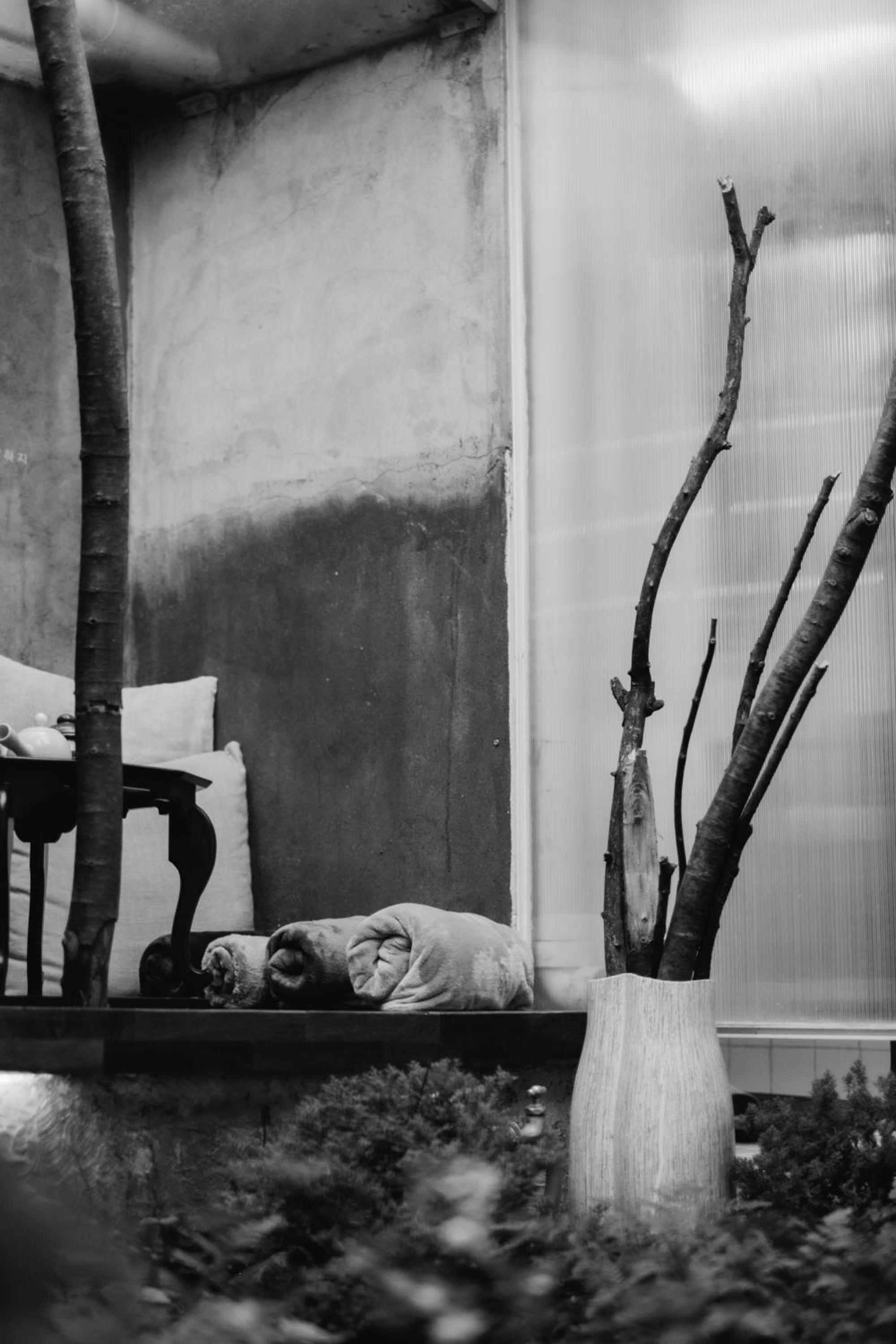 Vacation Home - Photo 64