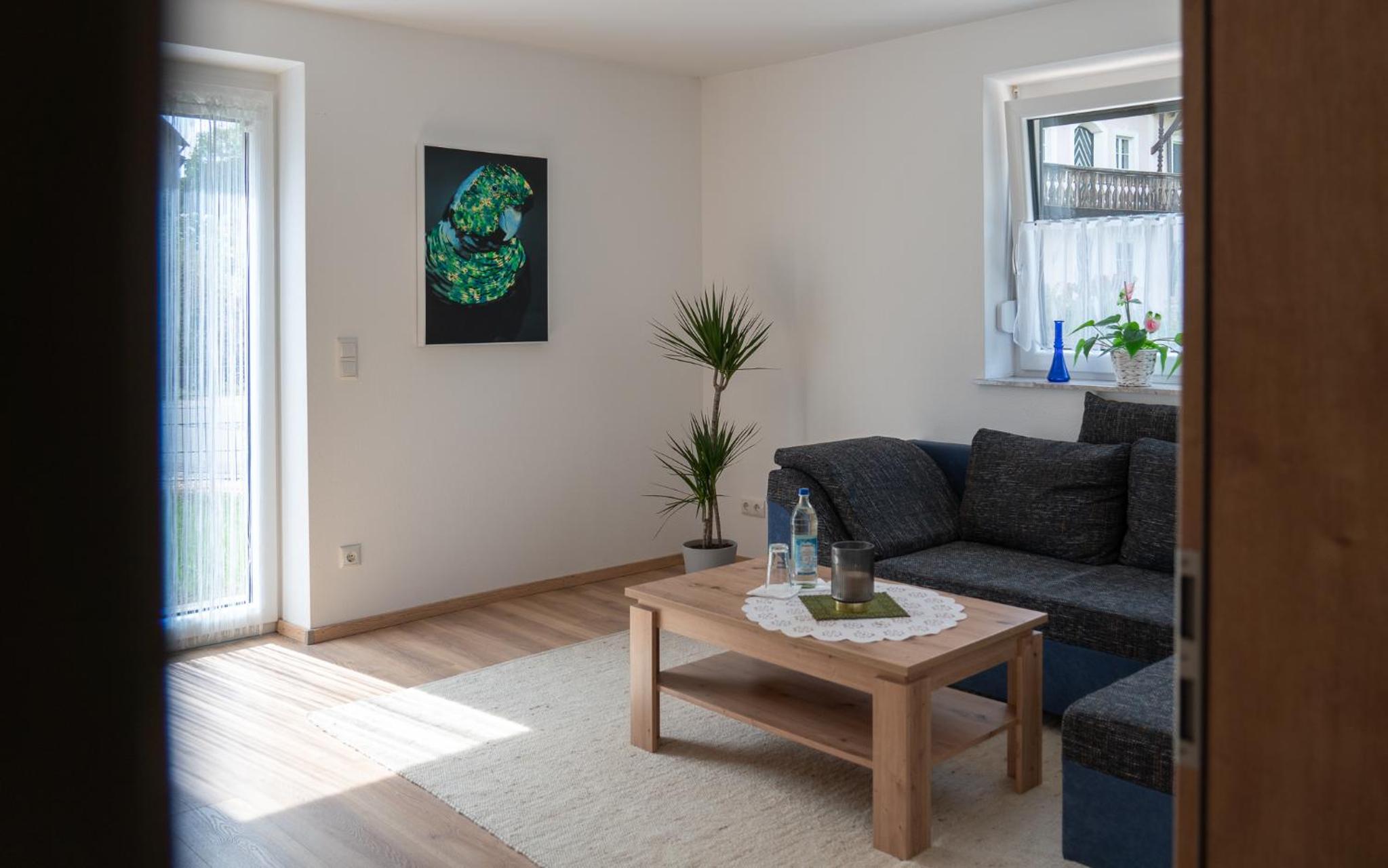 Apartment with Terrace