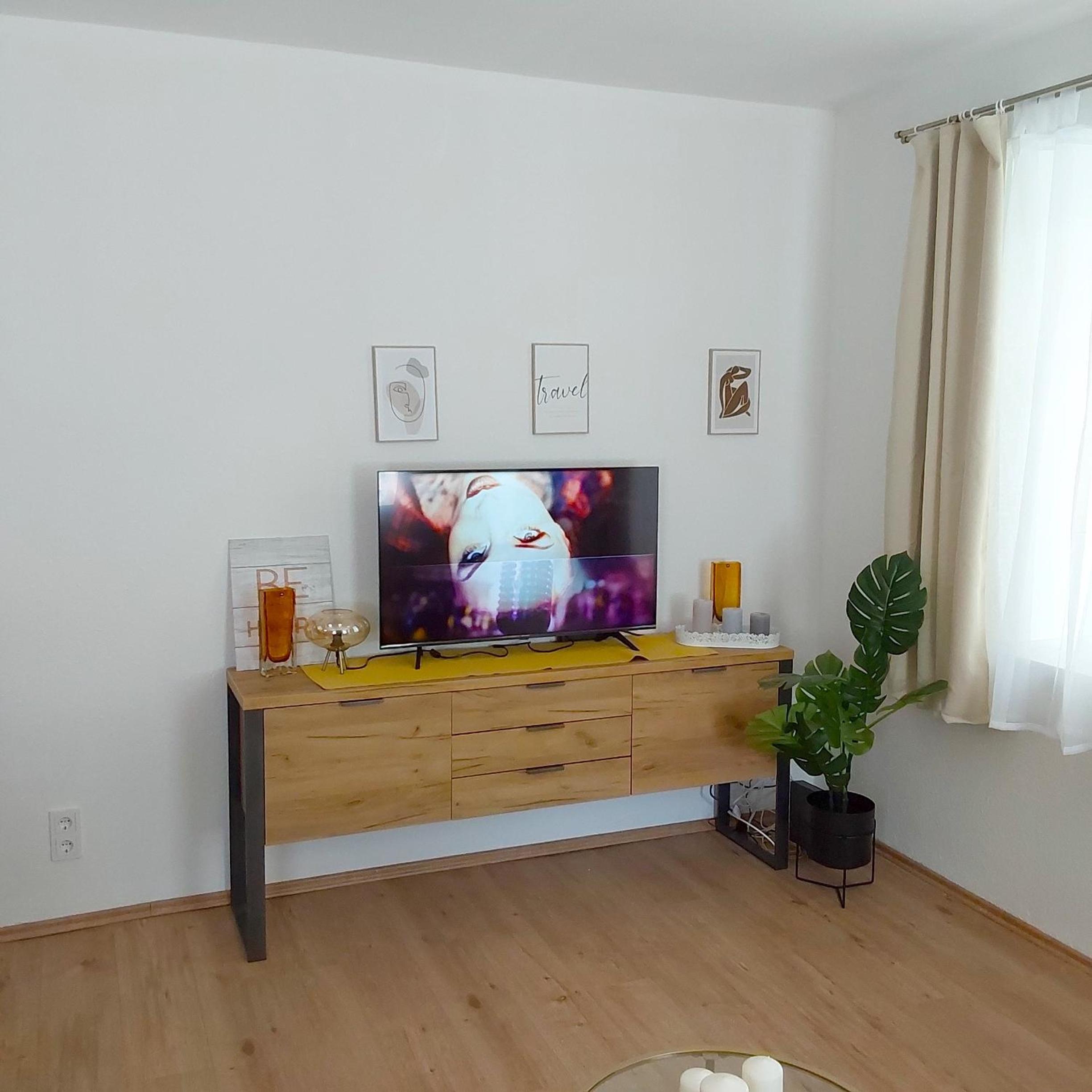 One-Bedroom Apartment photo 3