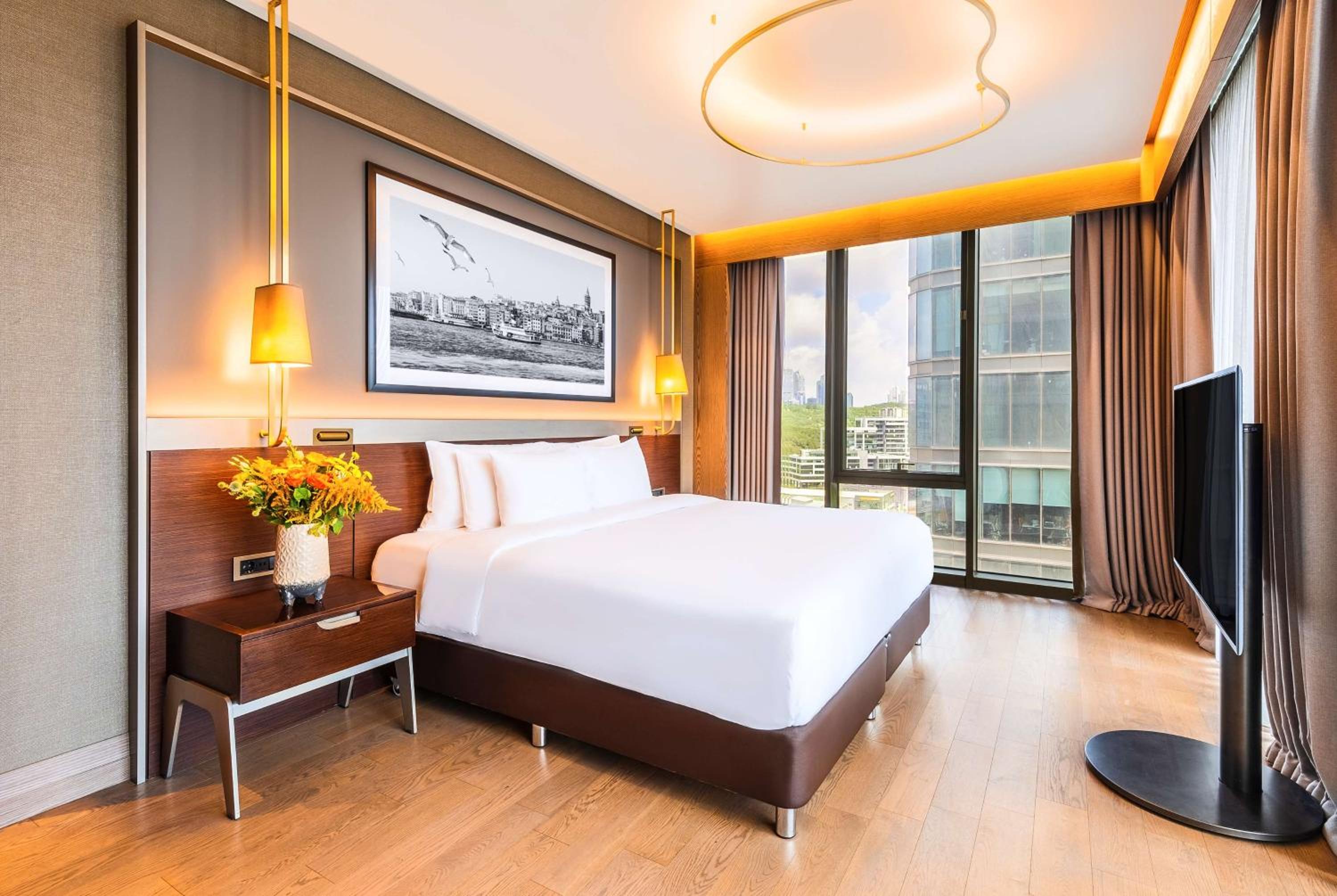 Suite con 1 Camera da Letto e Vista Città e Foresta
