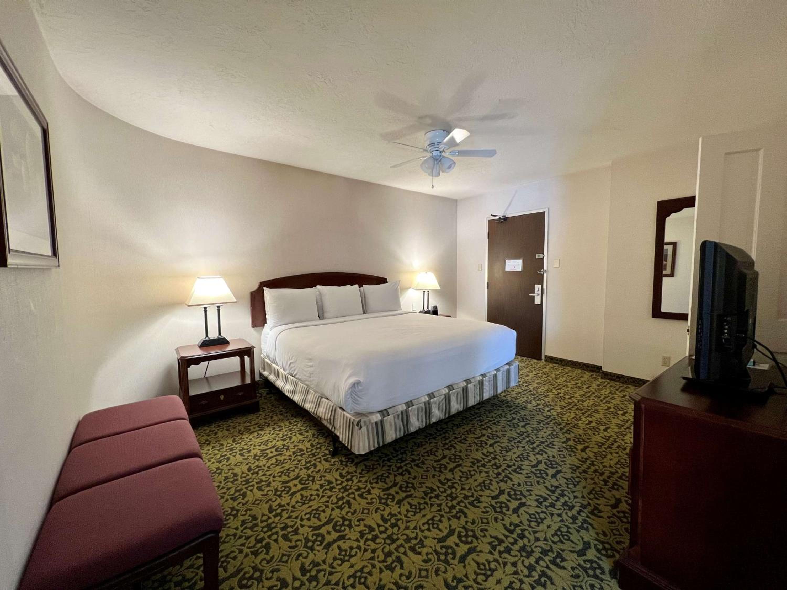 King Suite With Spa Bath photo 3
