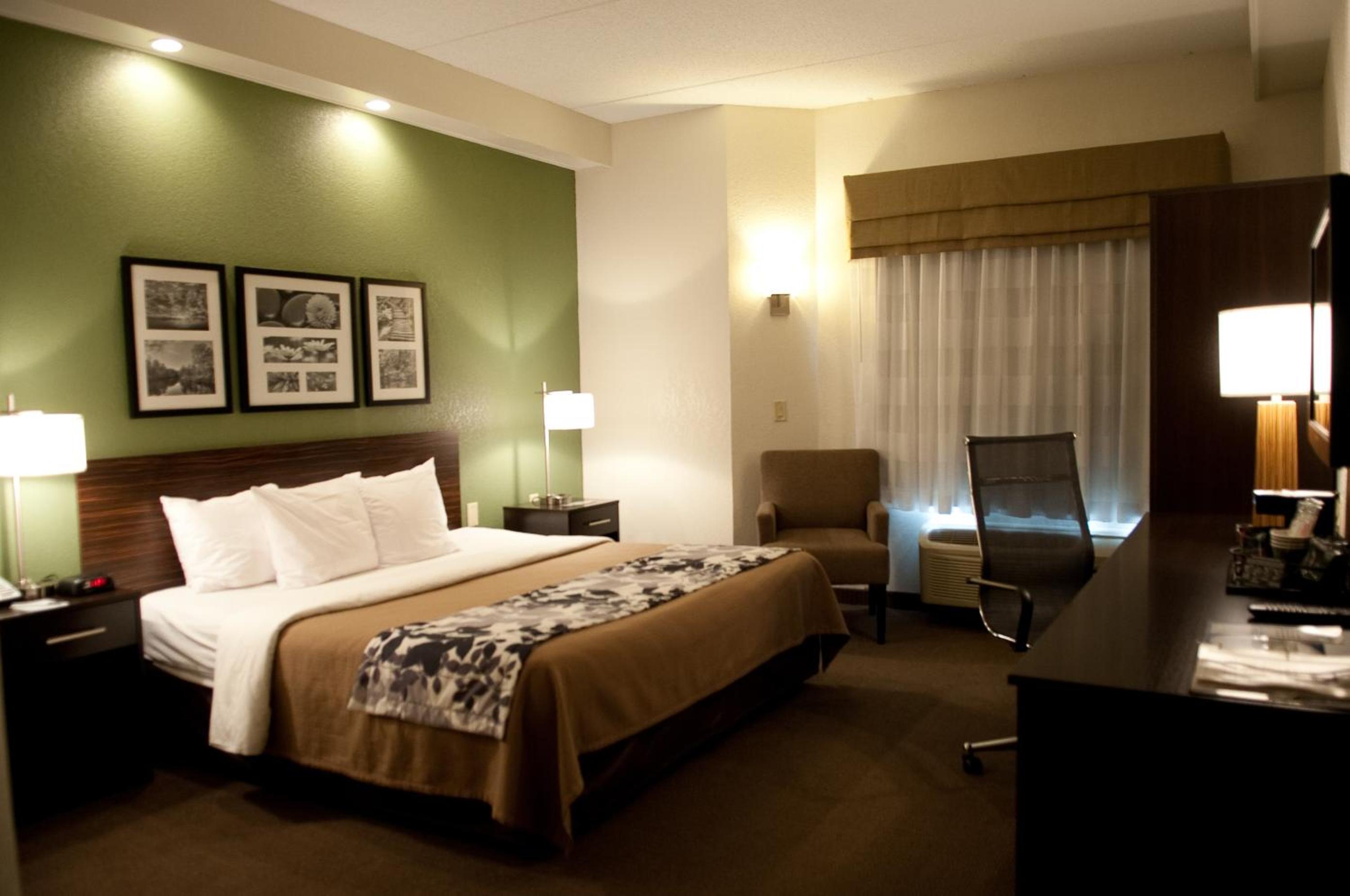 King Room - Non-Smoking - Photo 4