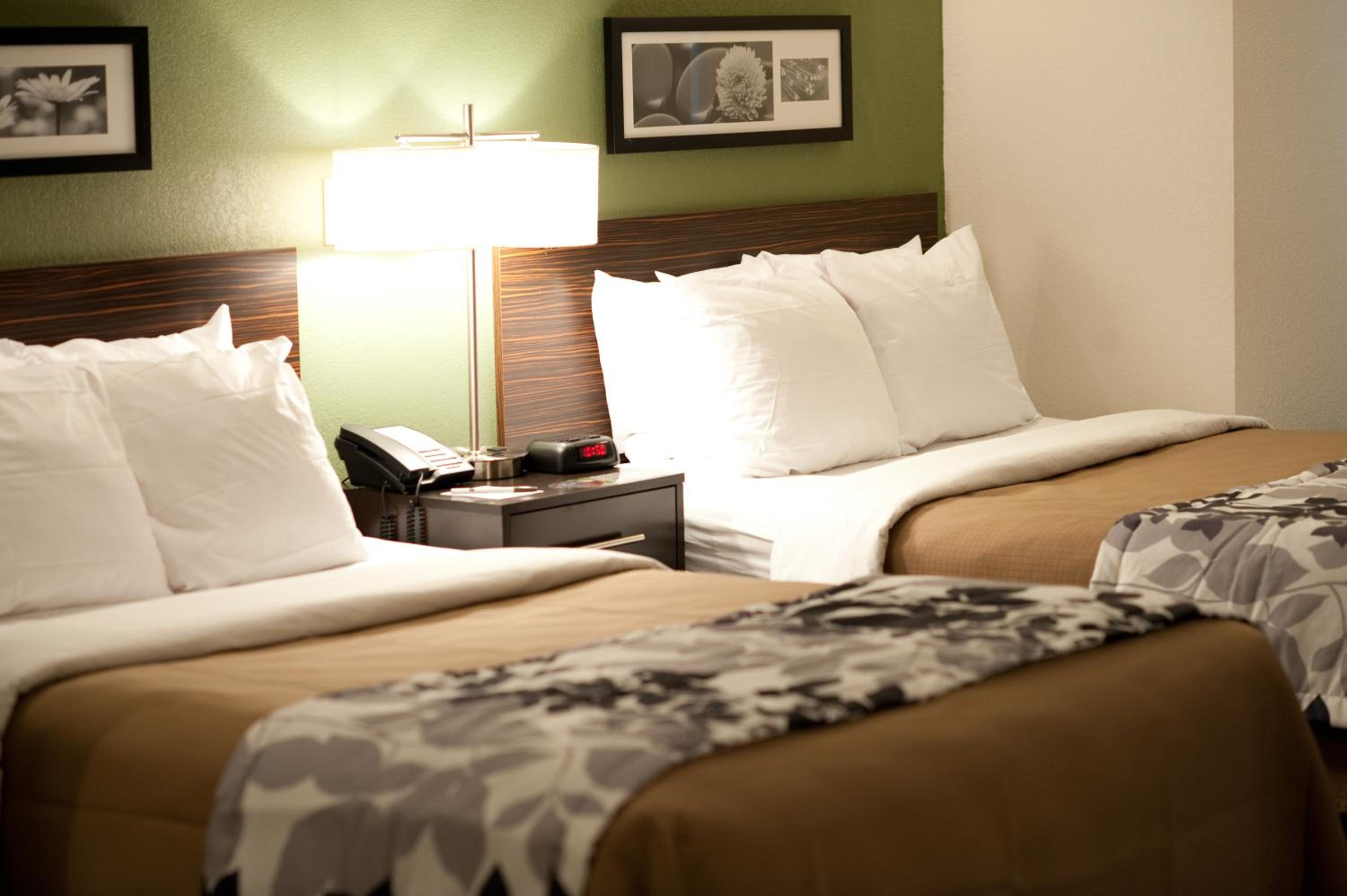 Suite with Two Double Beds - Non-Smoking with Sofabed - Photo 3